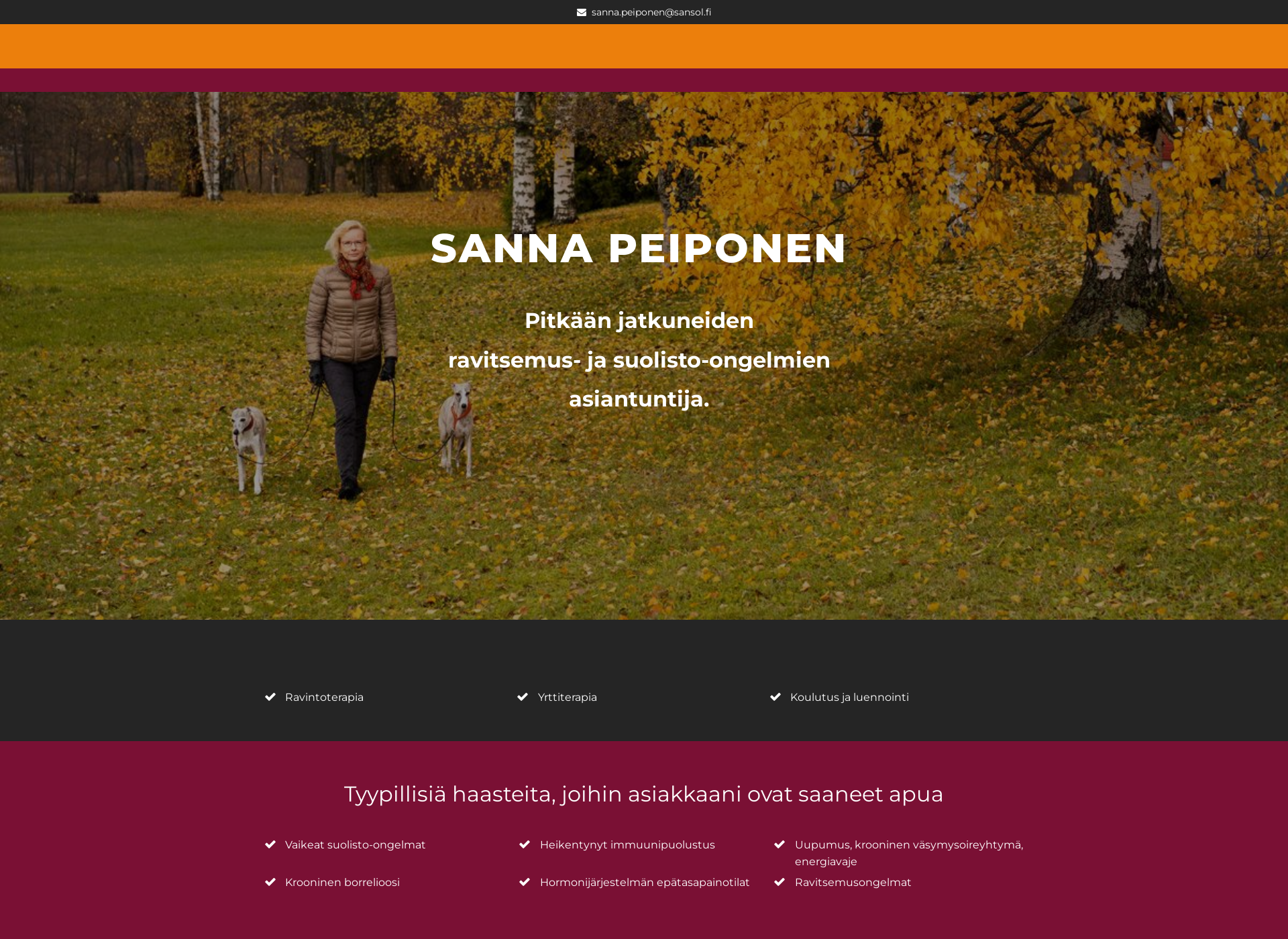 Screenshot for sansol.fi