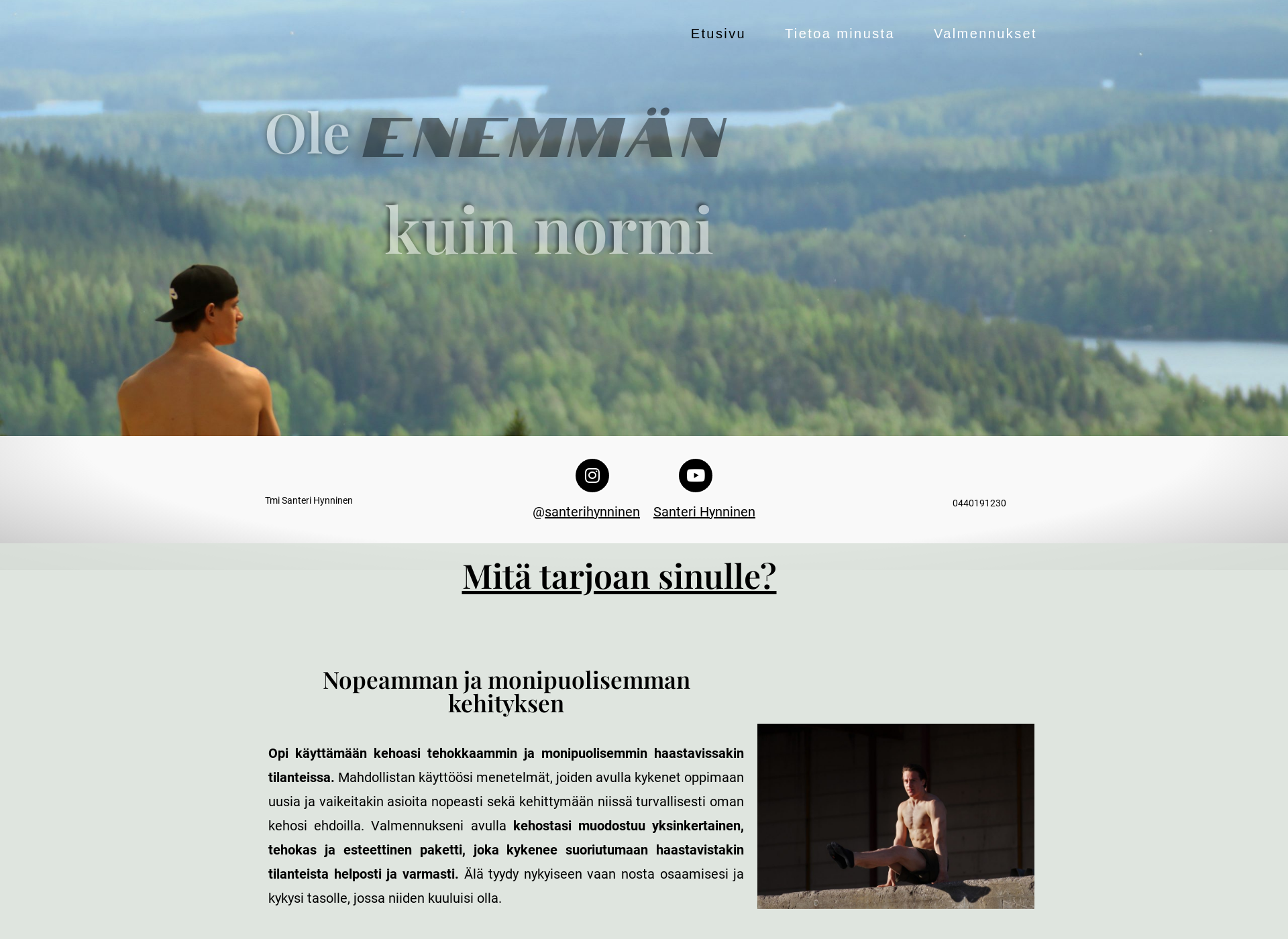 Screenshot for santerihynninen.fi