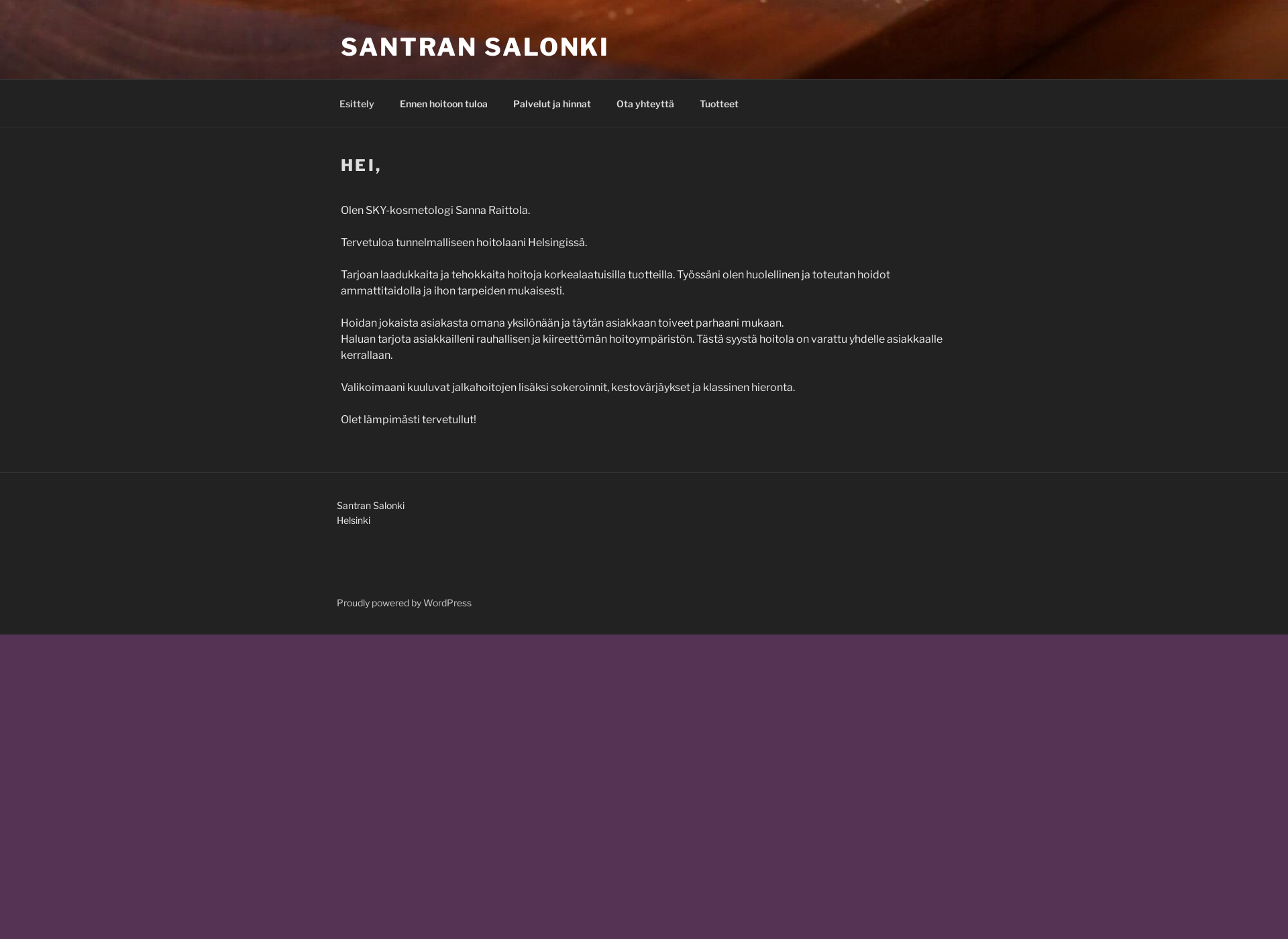 Screenshot for santransalonki.fi