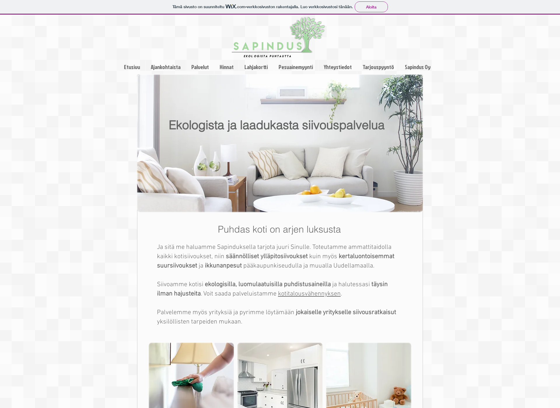 Screenshot for sapindus.fi