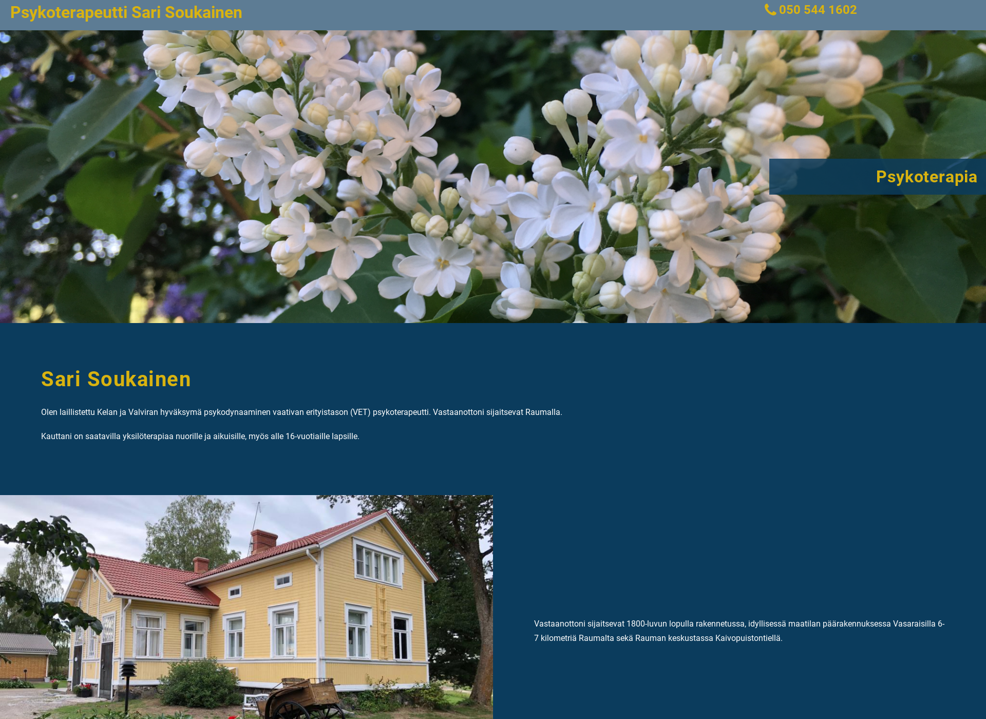 Skärmdump för sarisoukainen.fi