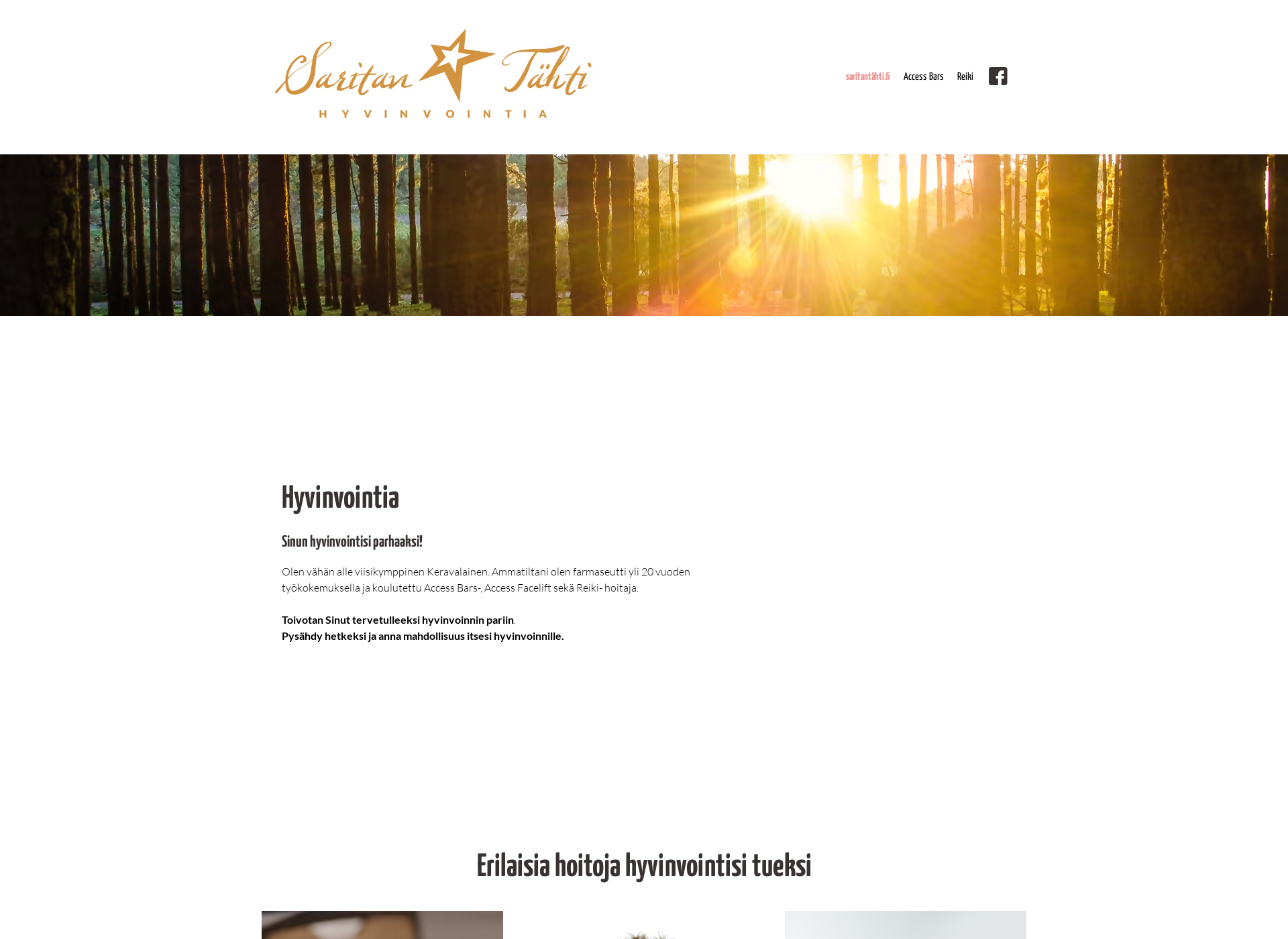 Skärmdump för saritantahti.fi
