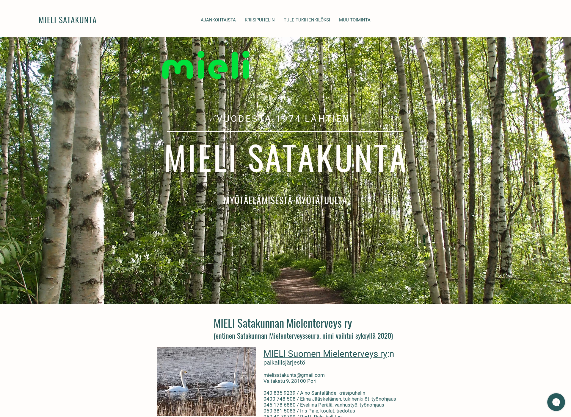Skärmdump för satakunnanmielenterveysseura.fi