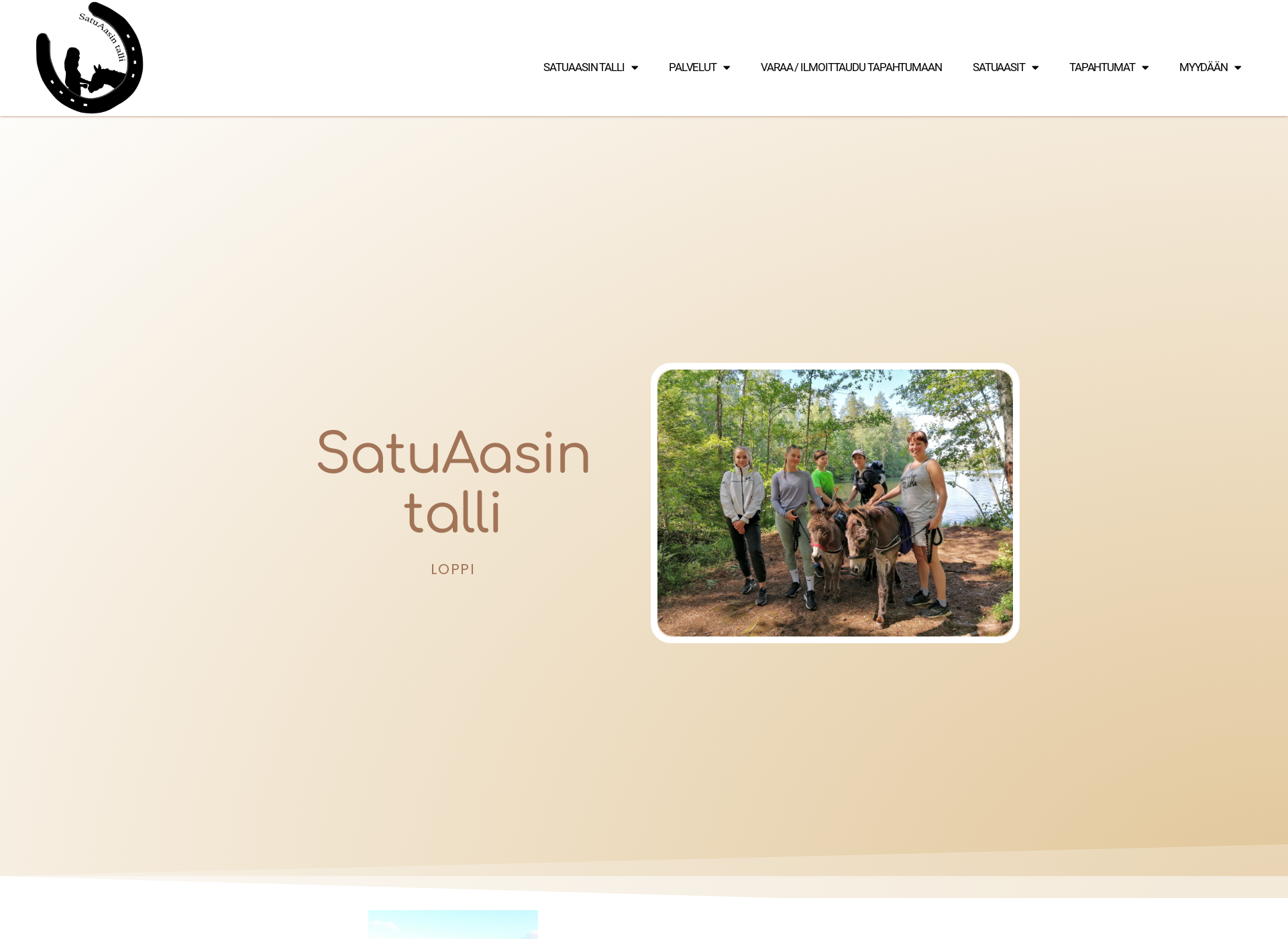 Screenshot for satuaasintalli.fi