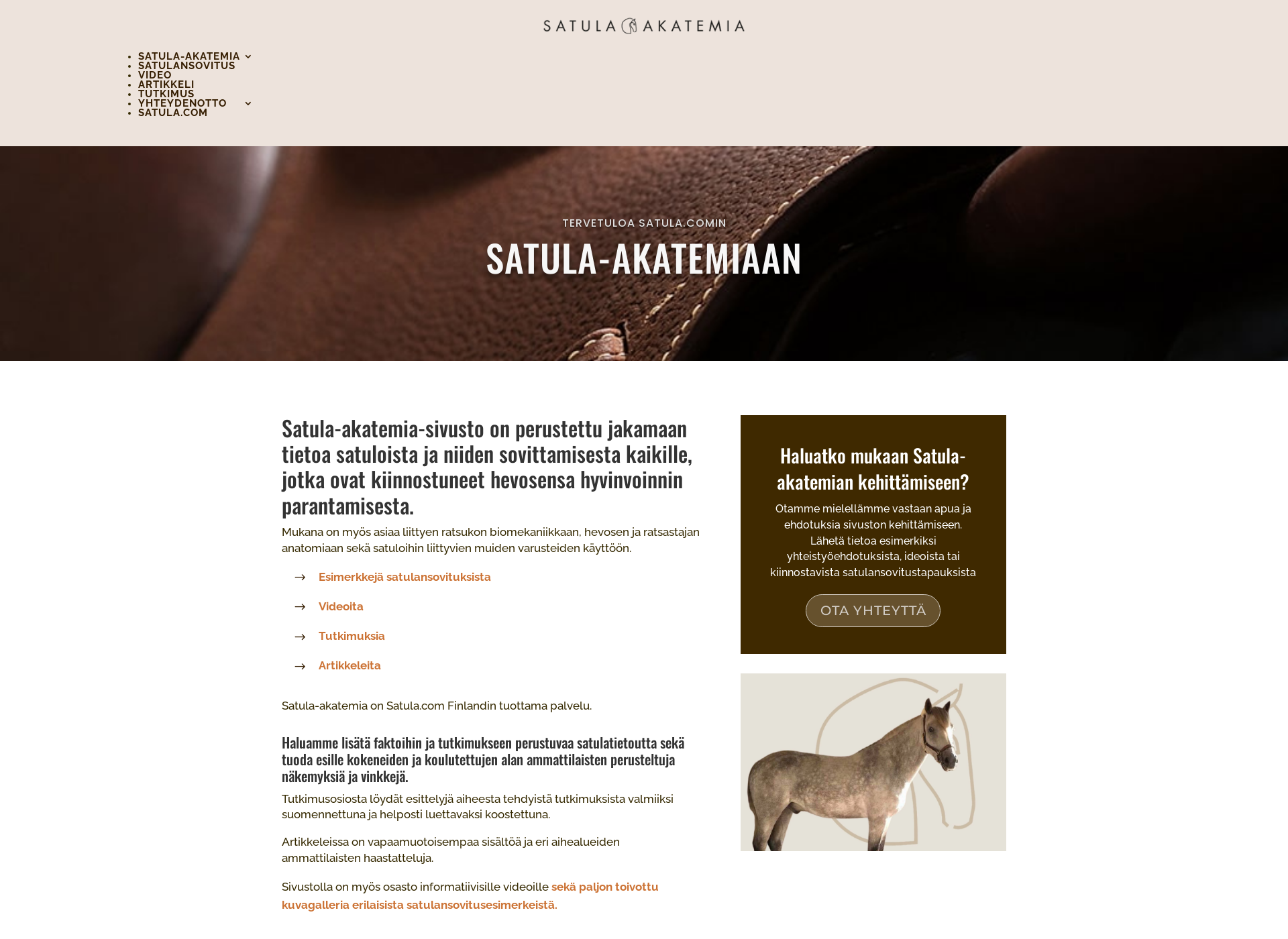 Screenshot for satula-akatemia.fi