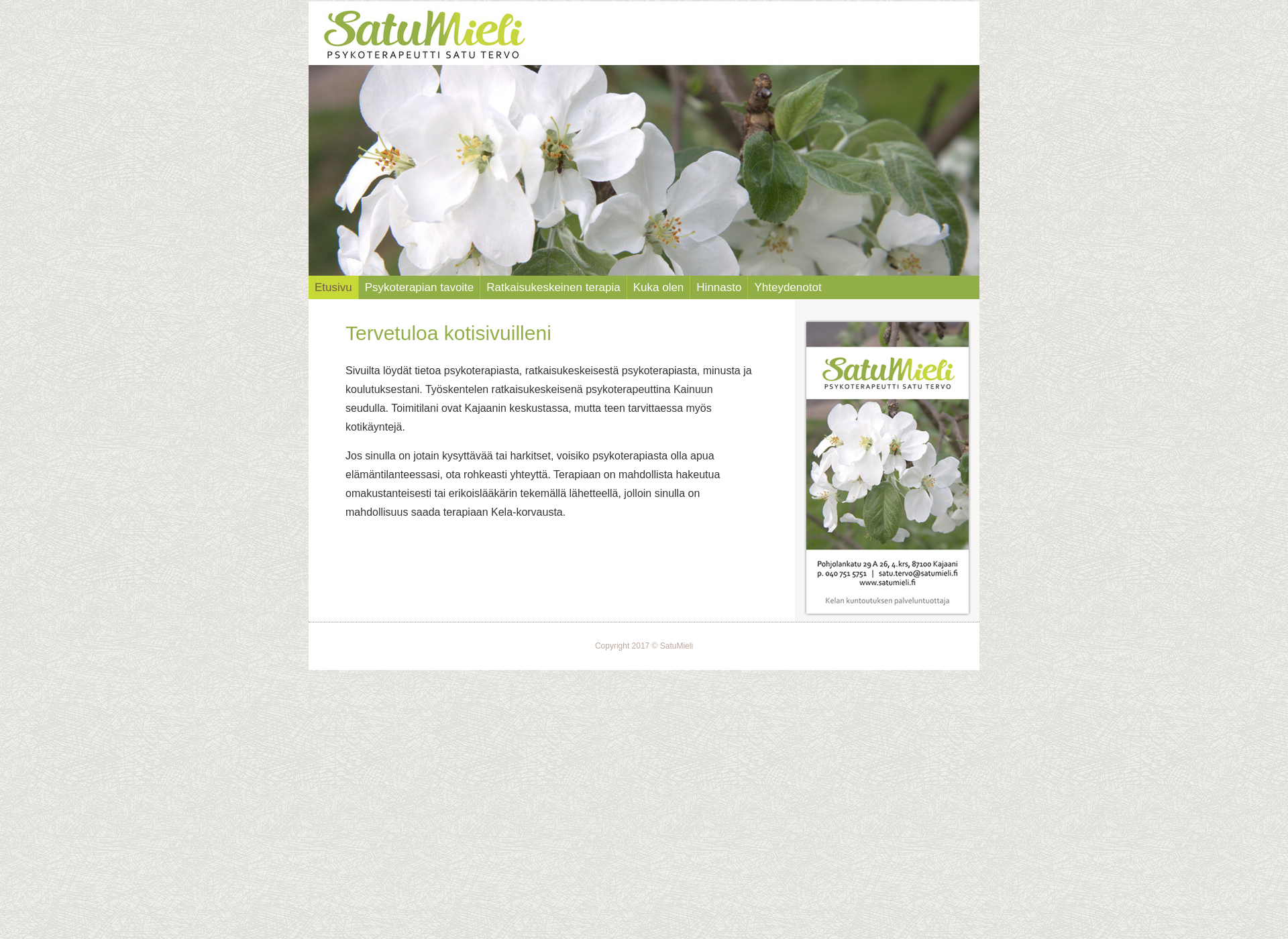 Screenshot for satumieli.fi