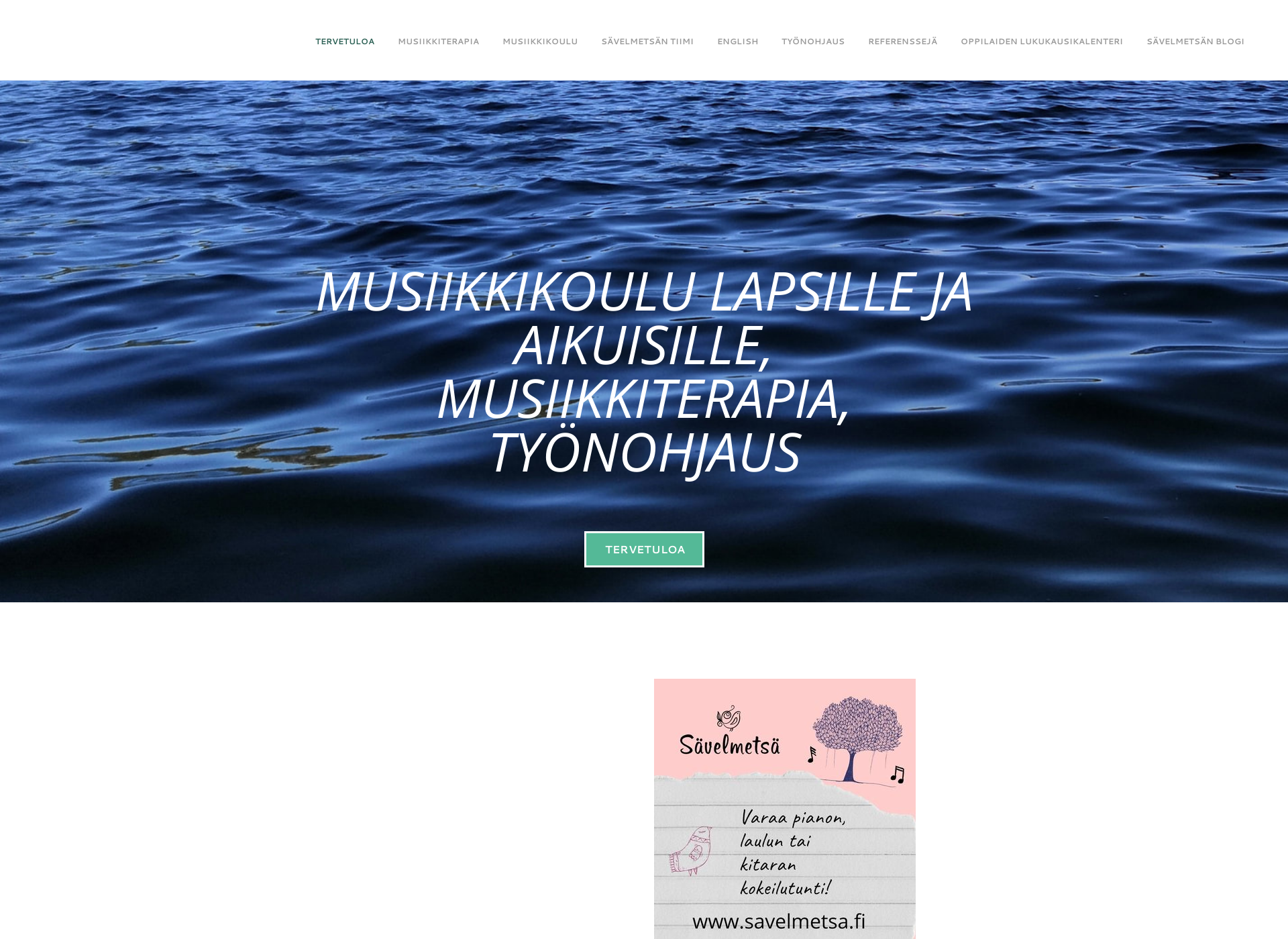 Screenshot for savelmetsa.fi