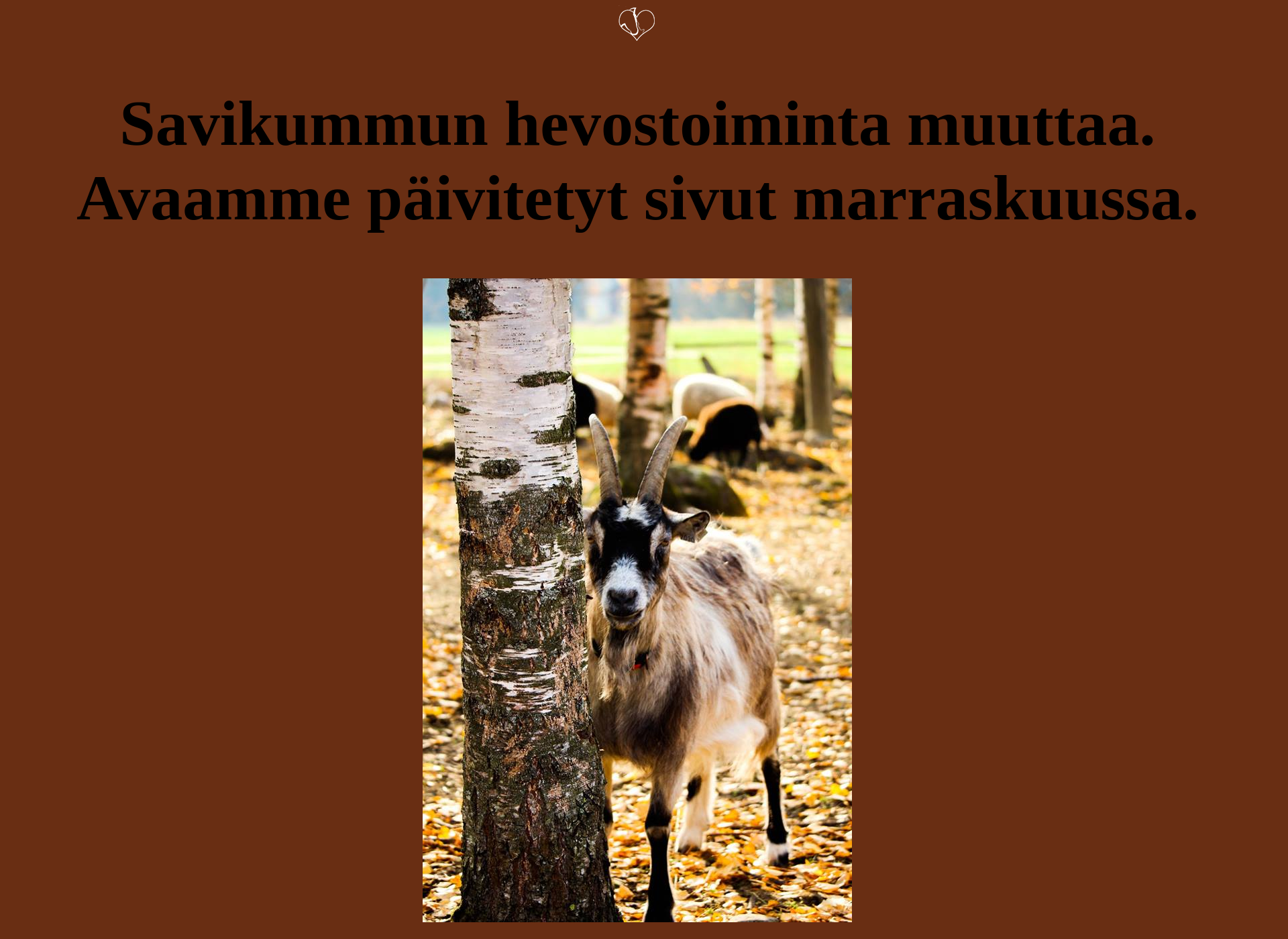 Skärmdump för savikumpu.fi