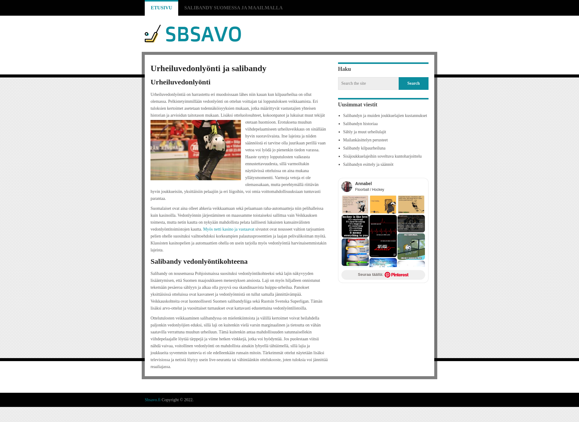 Screenshot for sbsavo.fi