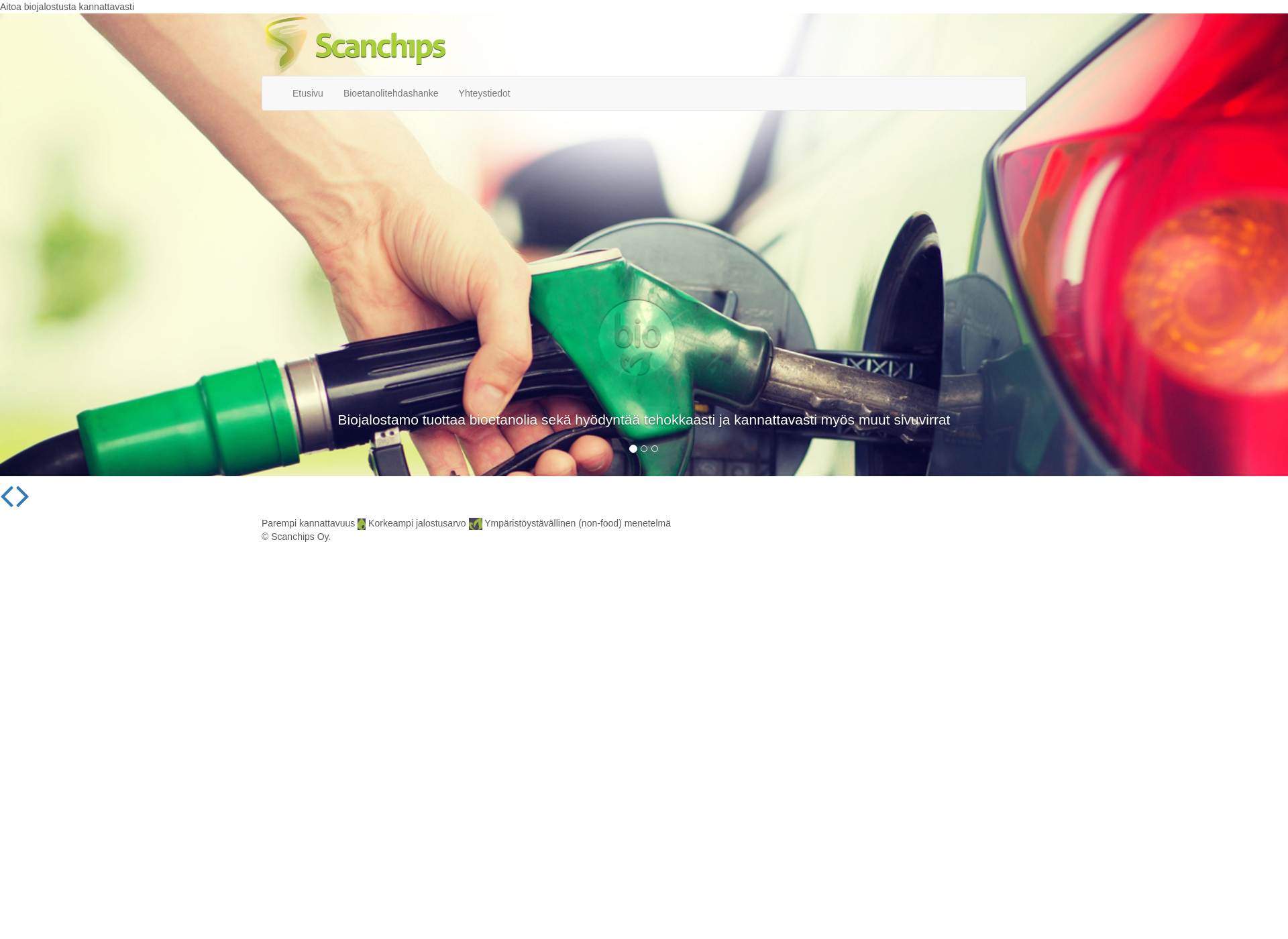 Screenshot for scanchips.fi
