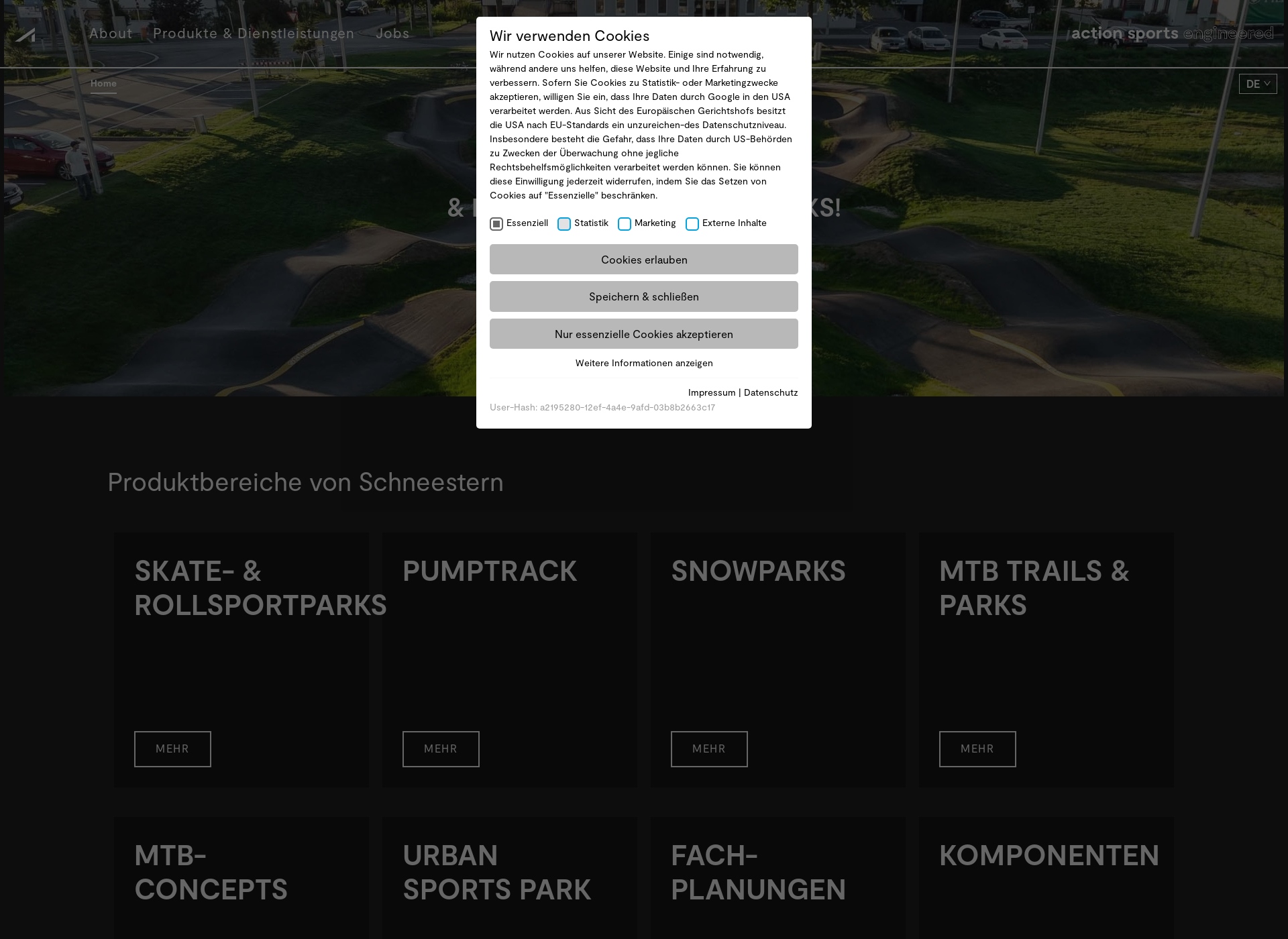 Screenshot for schneestern.fi