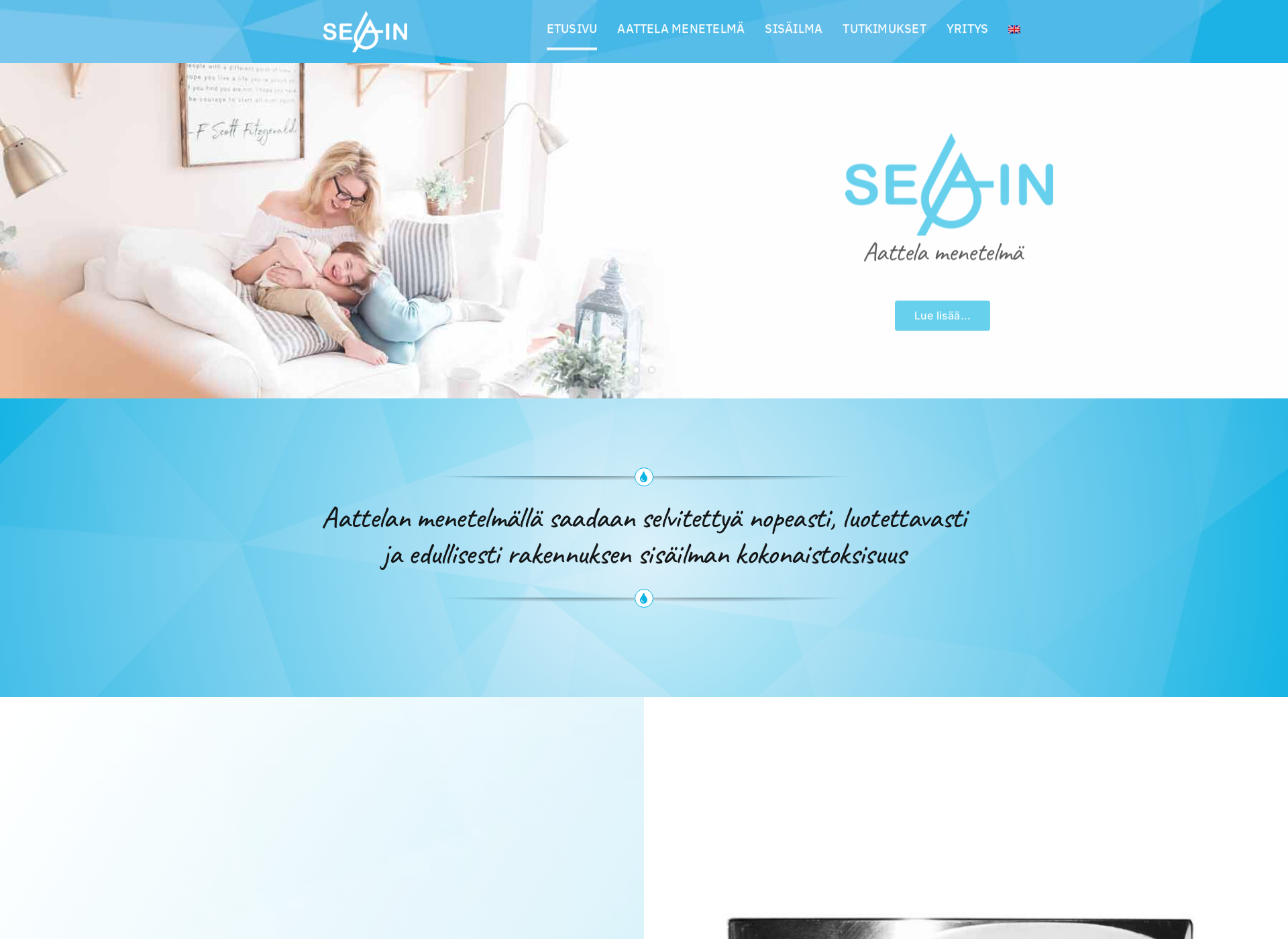 Screenshot for sea-in.fi