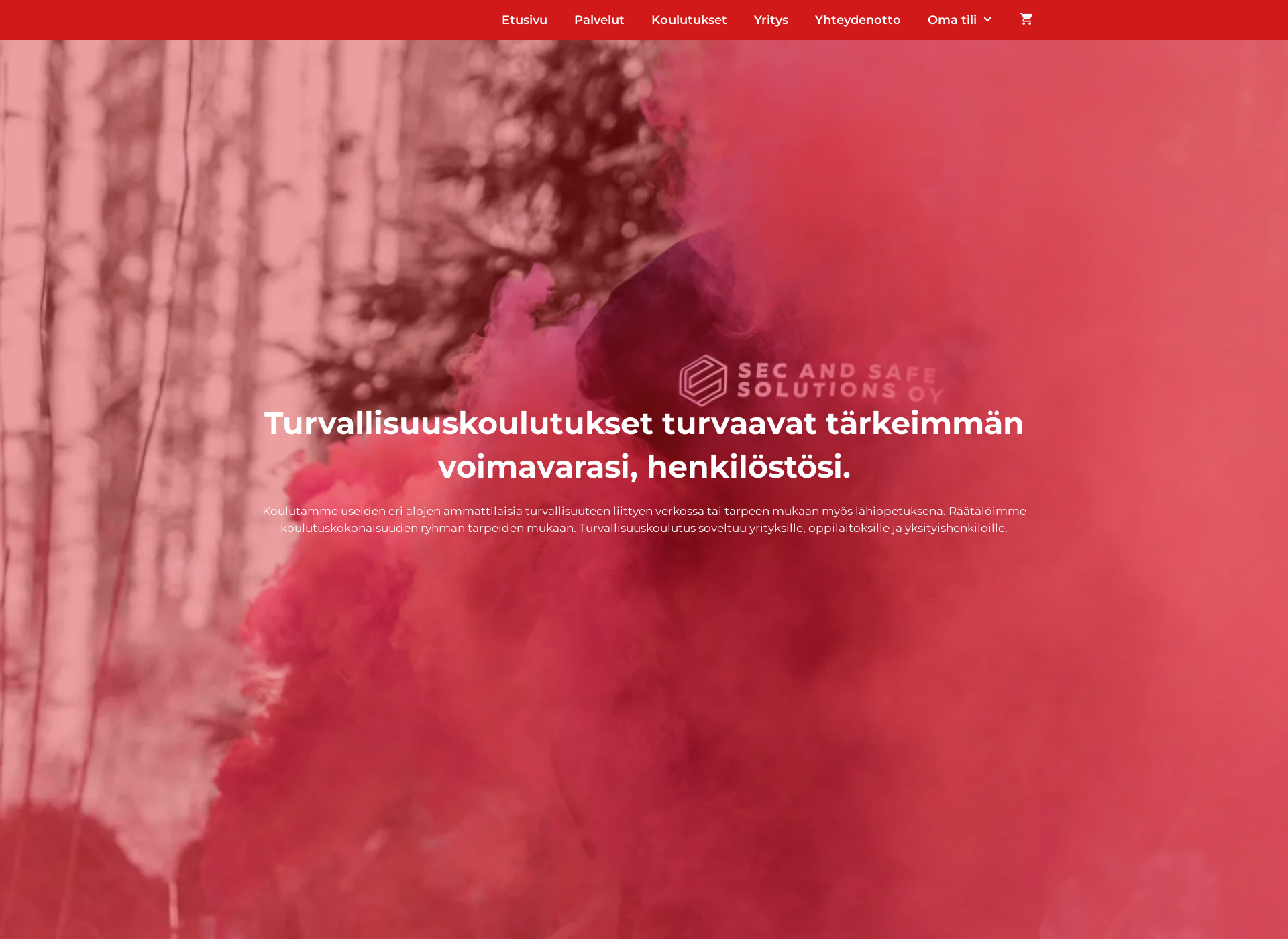 Skärmdump för secandsafe.fi