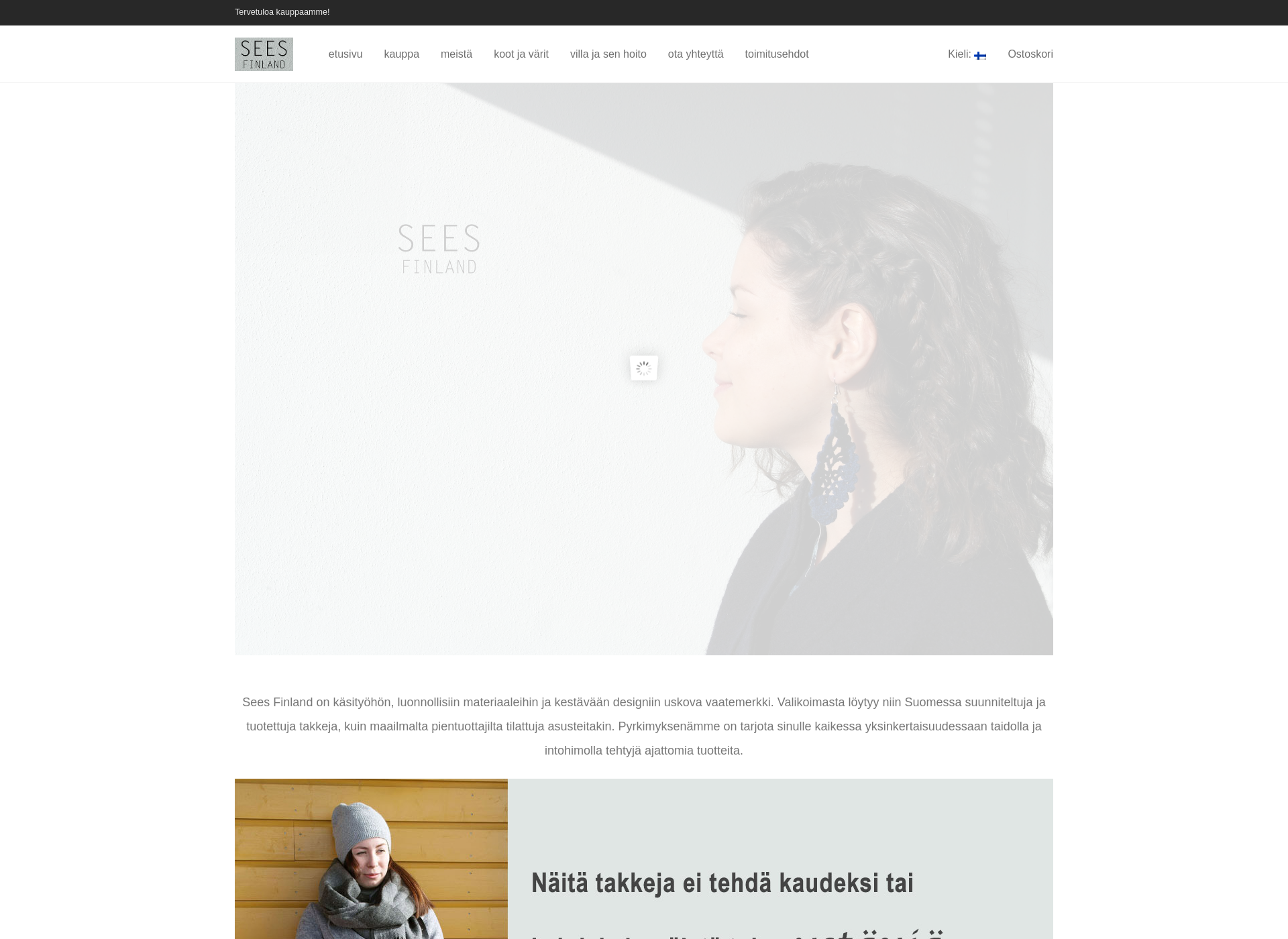 Screenshot for seesfinland.fi