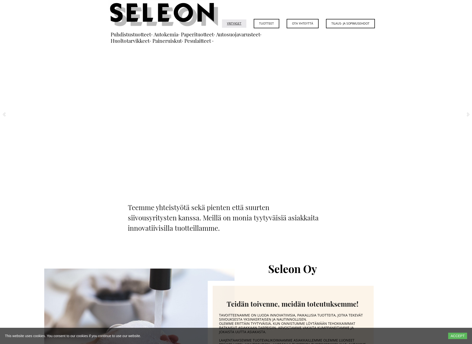 Skärmdump för seleon.fi