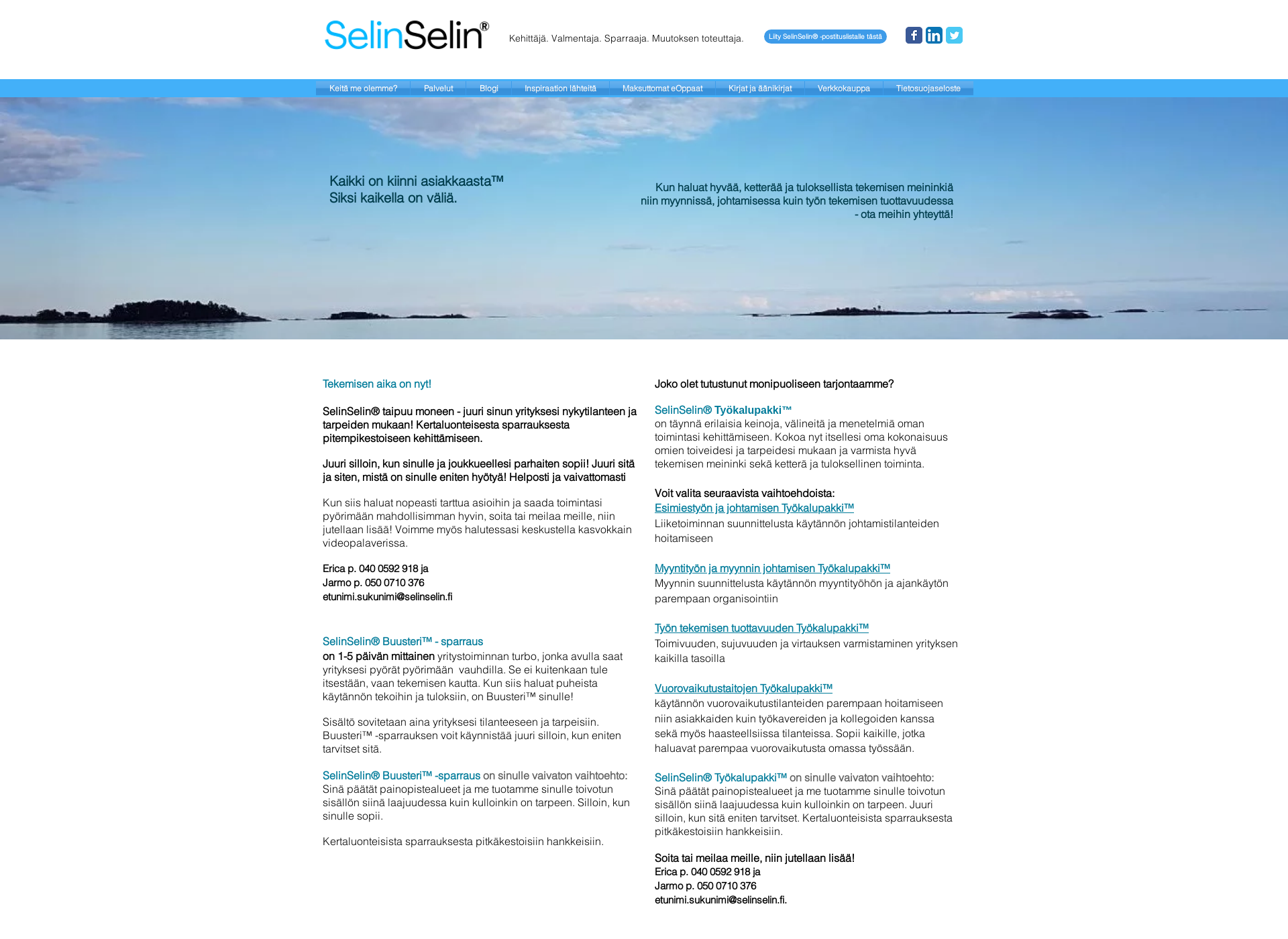 Screenshot for selinconsulting.fi