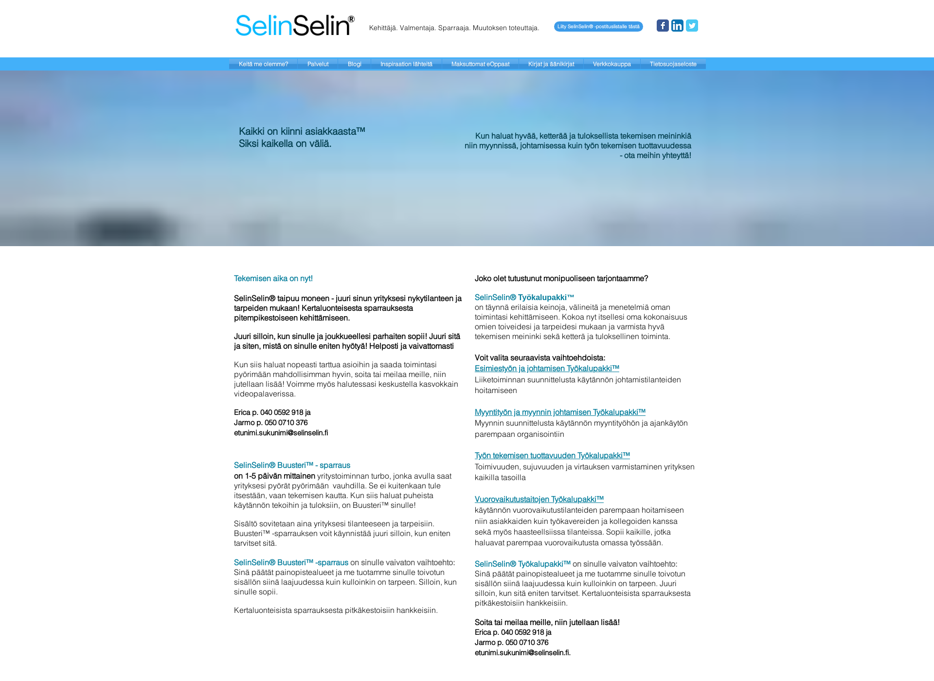 Screenshot for selinselin.fi