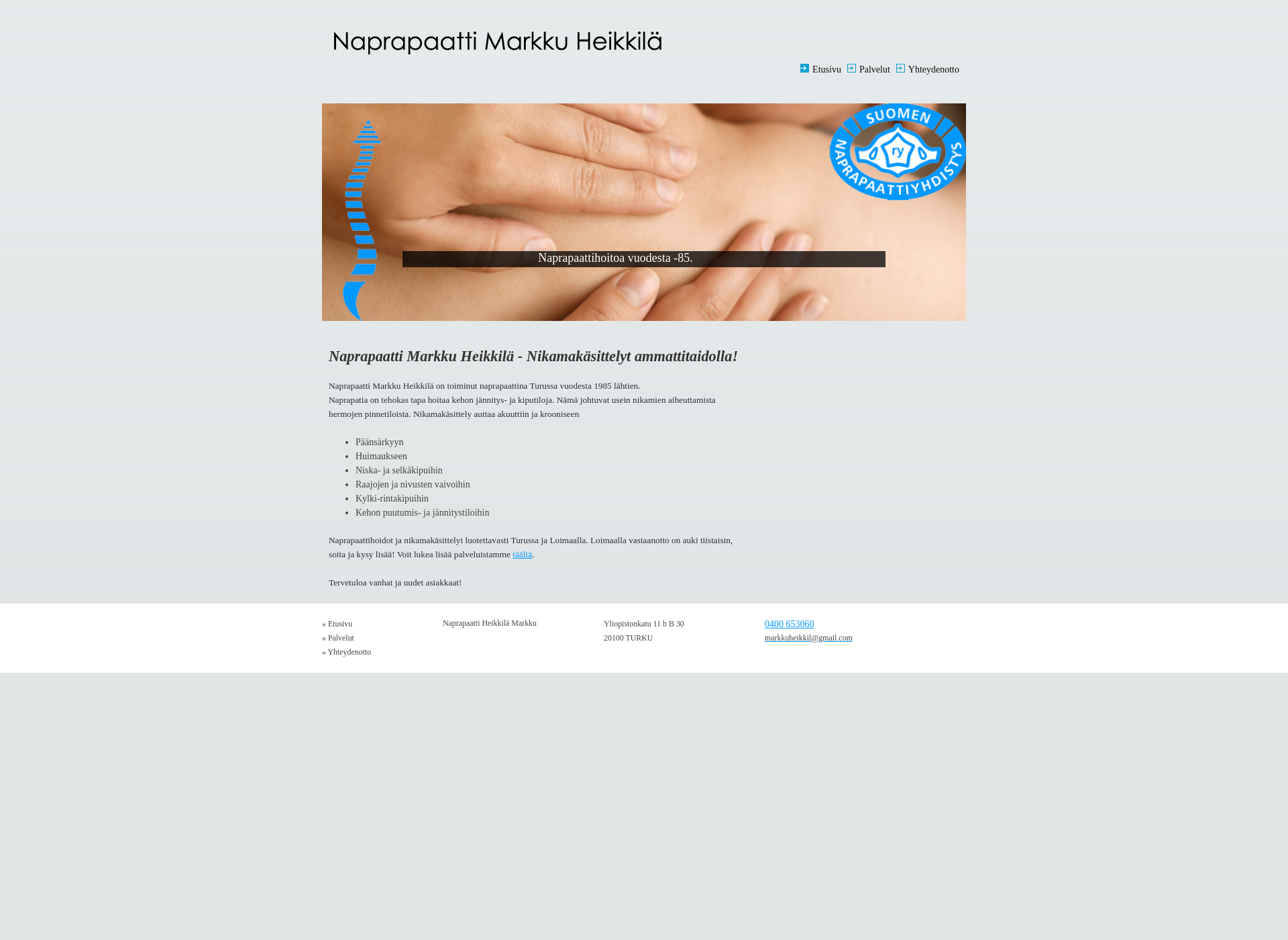 Screenshot for selkakiputurku.fi