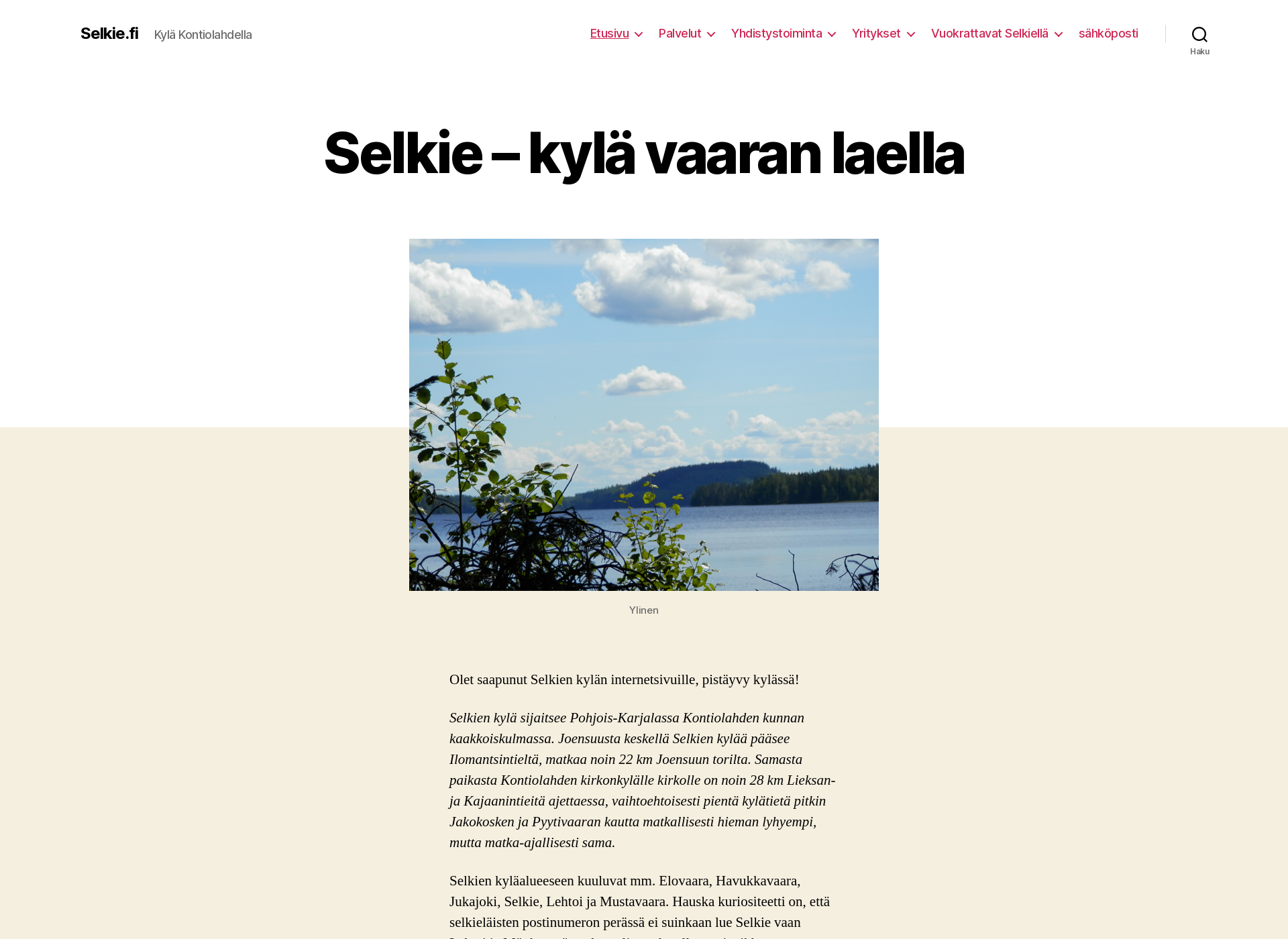 Skärmdump för selkie.fi