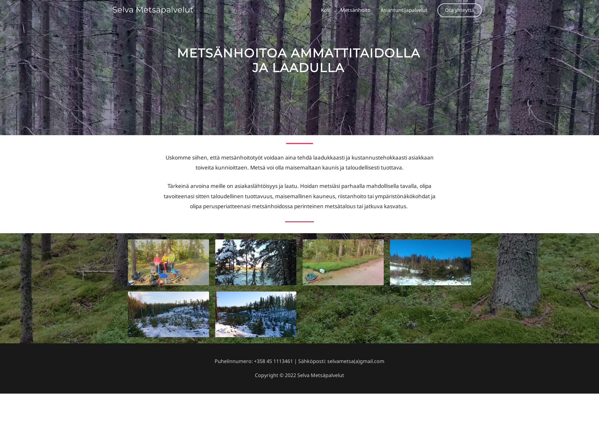 Screenshot for selvametsa.fi