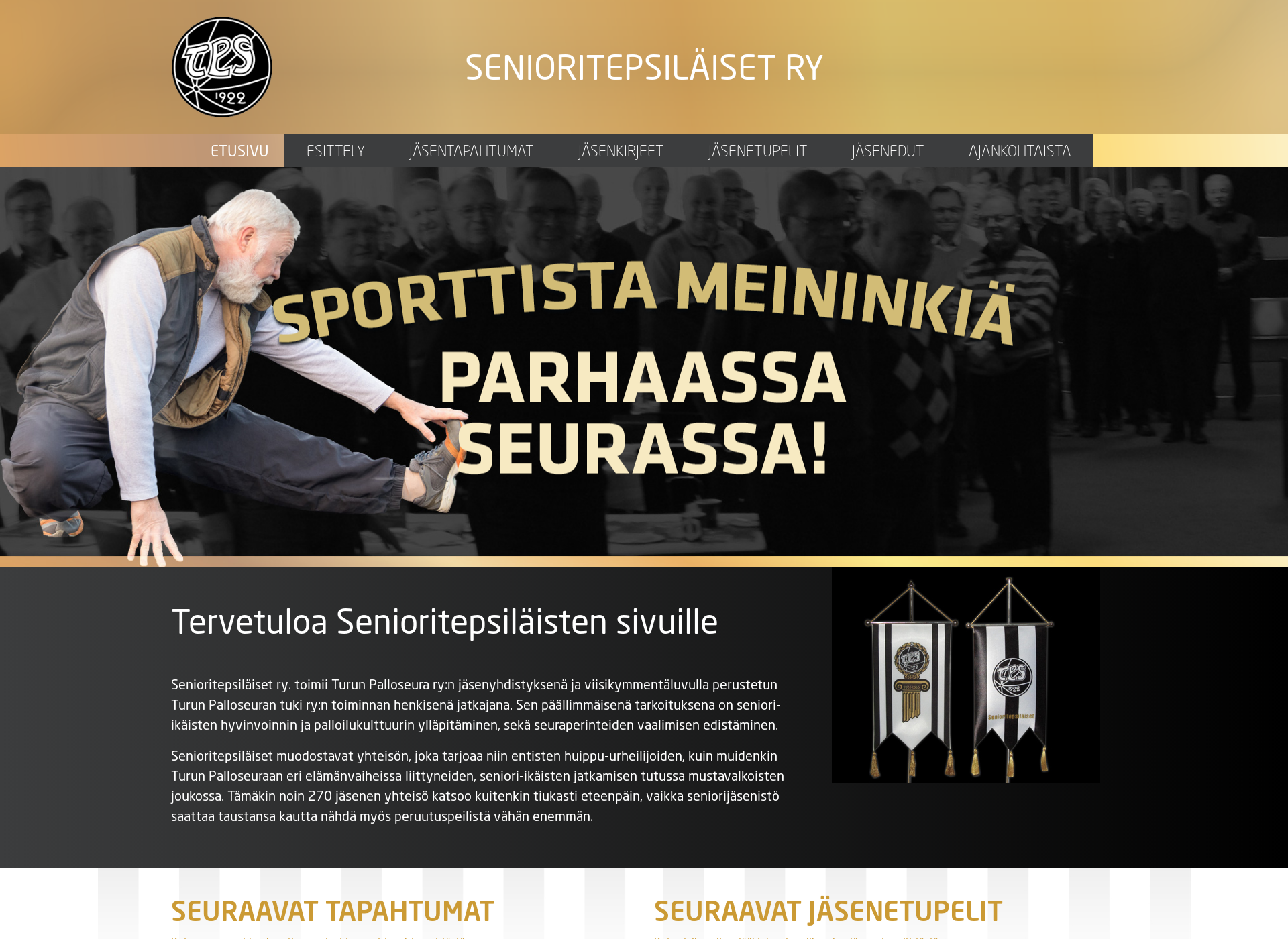 Skärmdump för senioritepsilaiset.fi