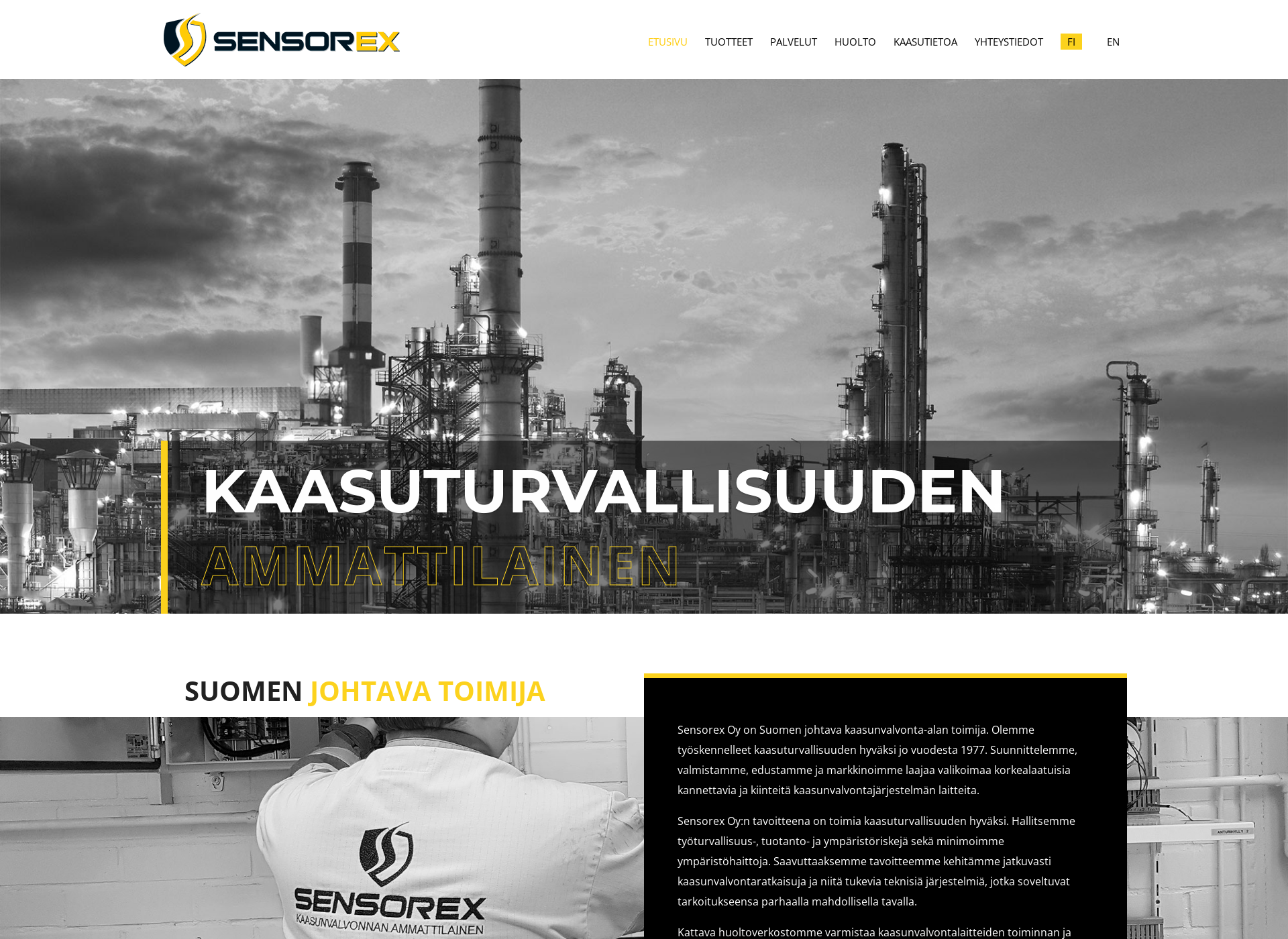 Screenshot for sensorex.fi