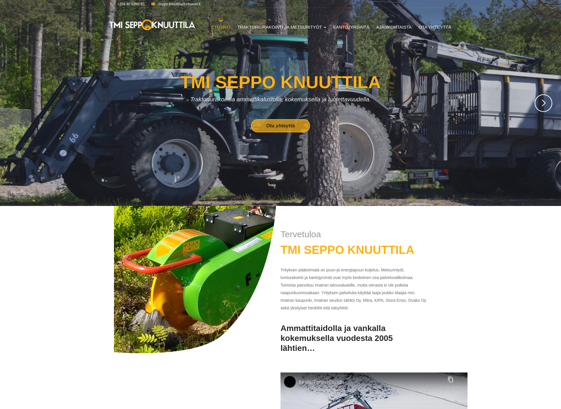 Screenshot for seppoknuuttila.fi