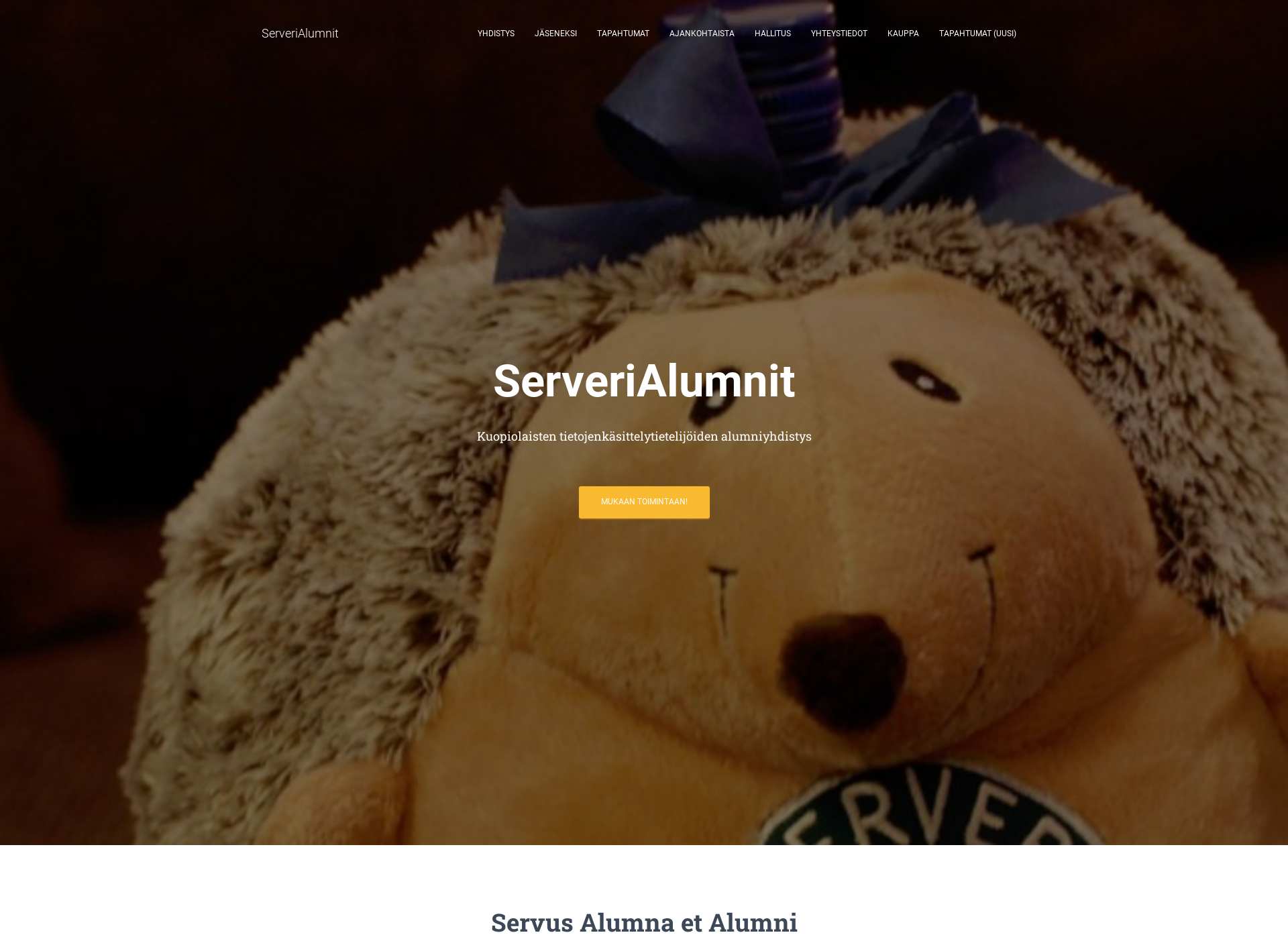 Skärmdump för serverialumnit.fi