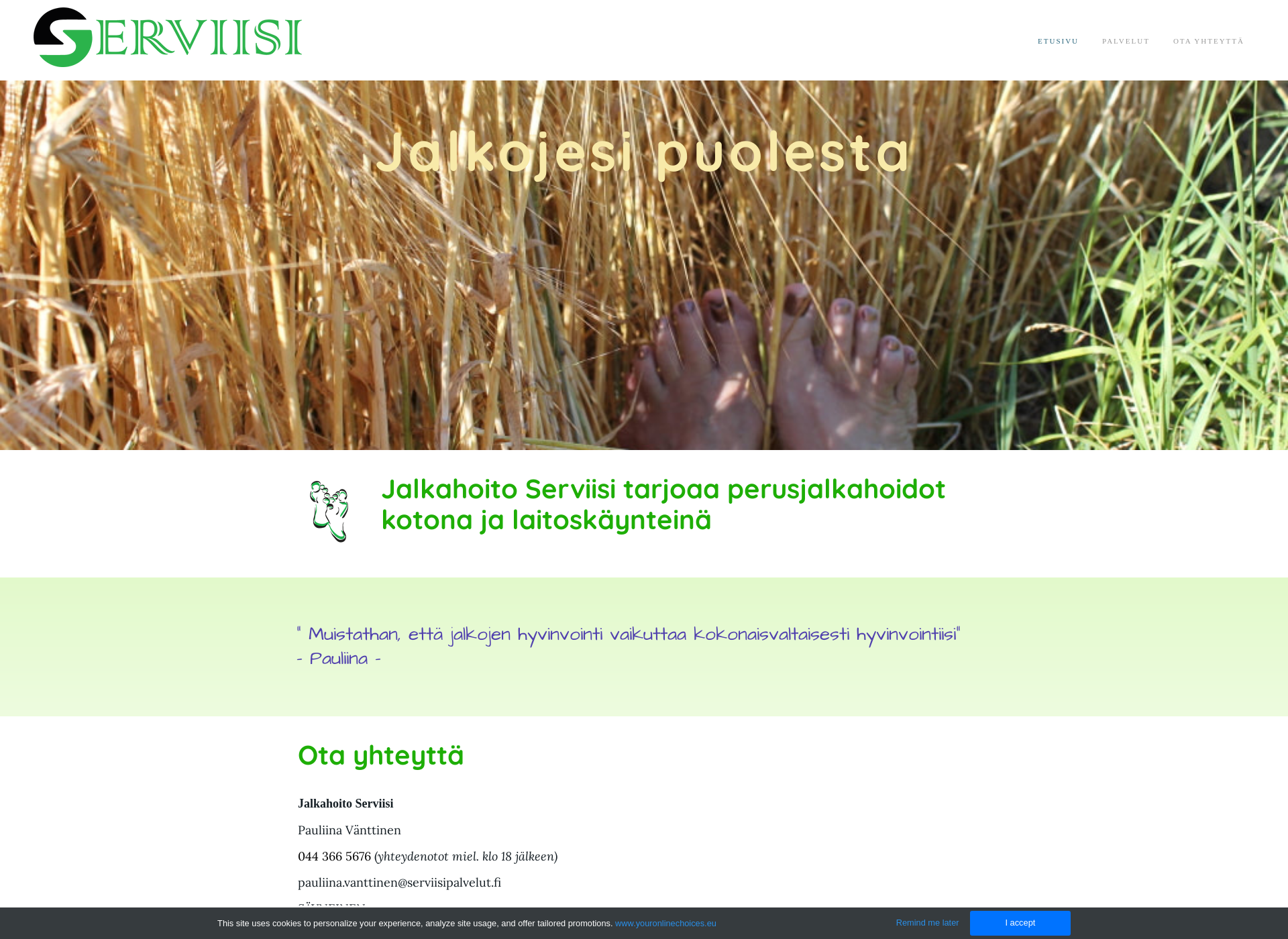 Screenshot for serviisipalvelut.fi