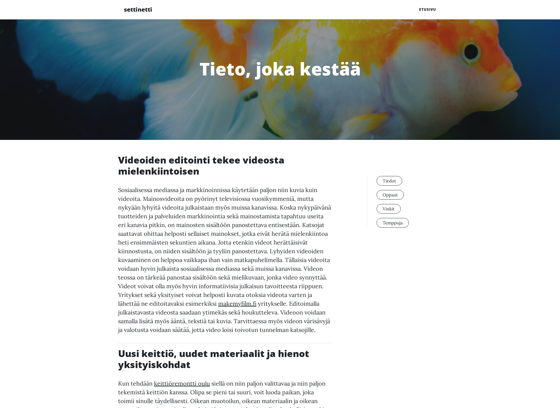 Skärmdump för settinetti.fi