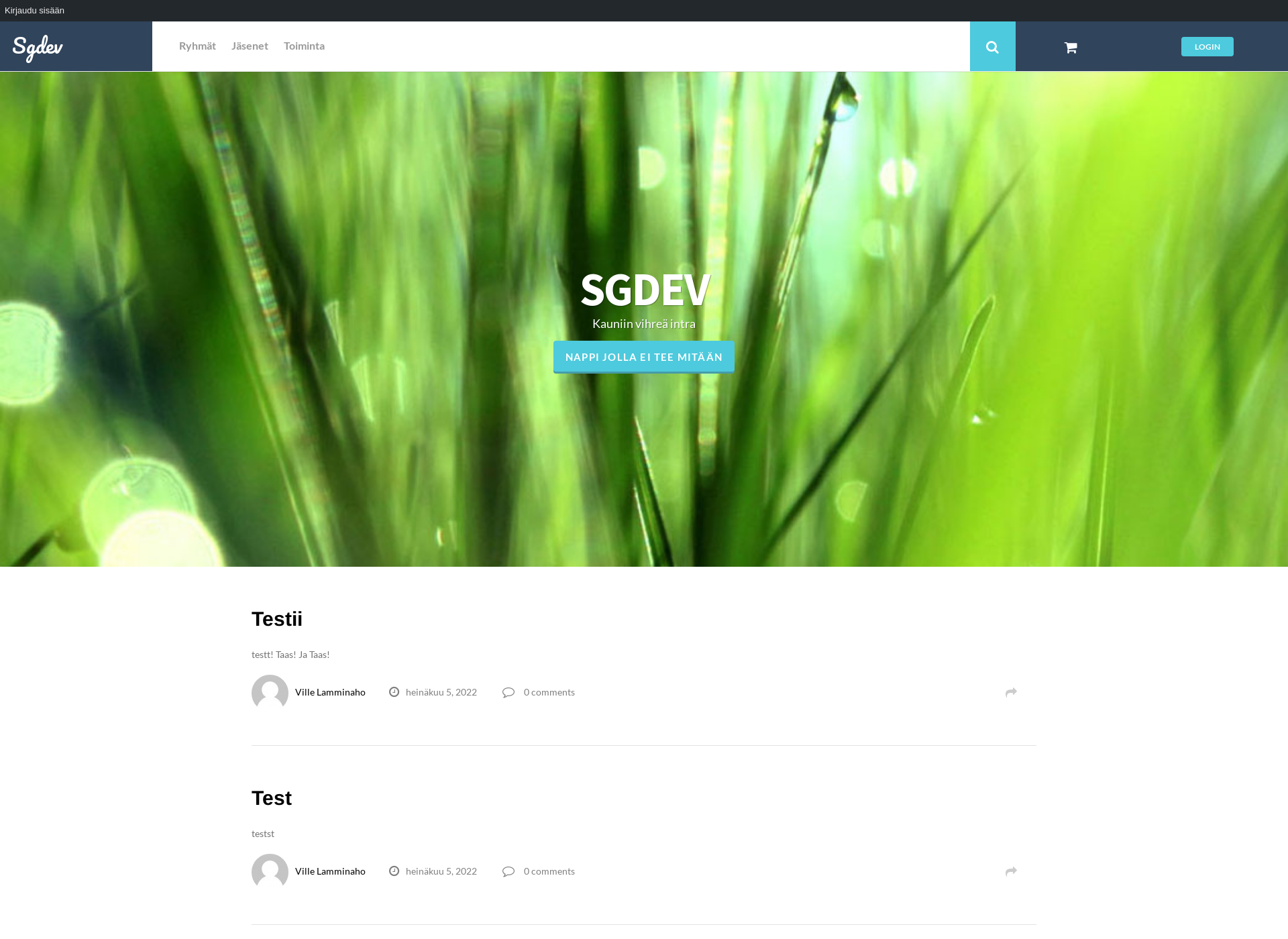 Screenshot for sgdev.fi