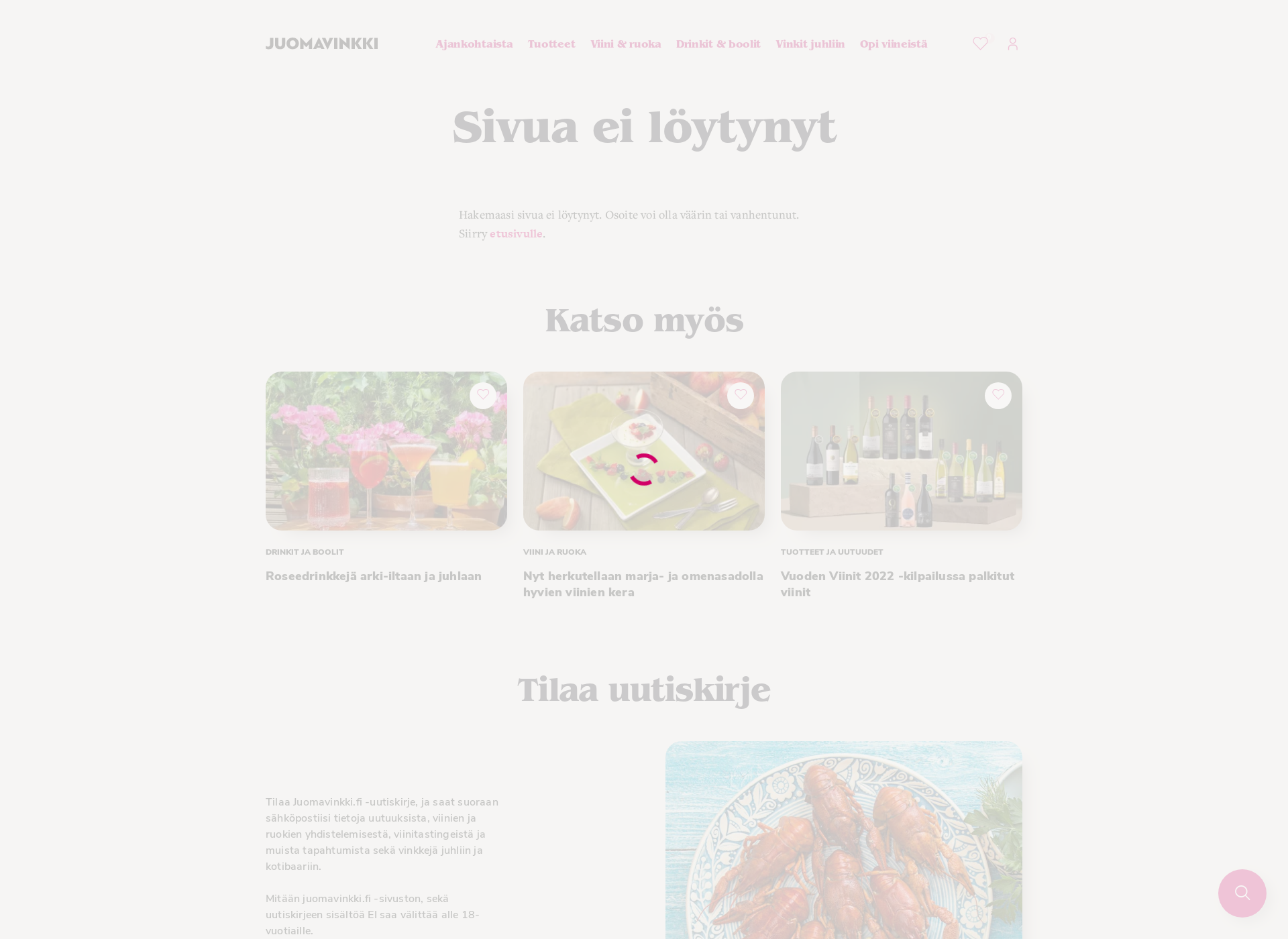 Screenshot for shamppanjaa.fi