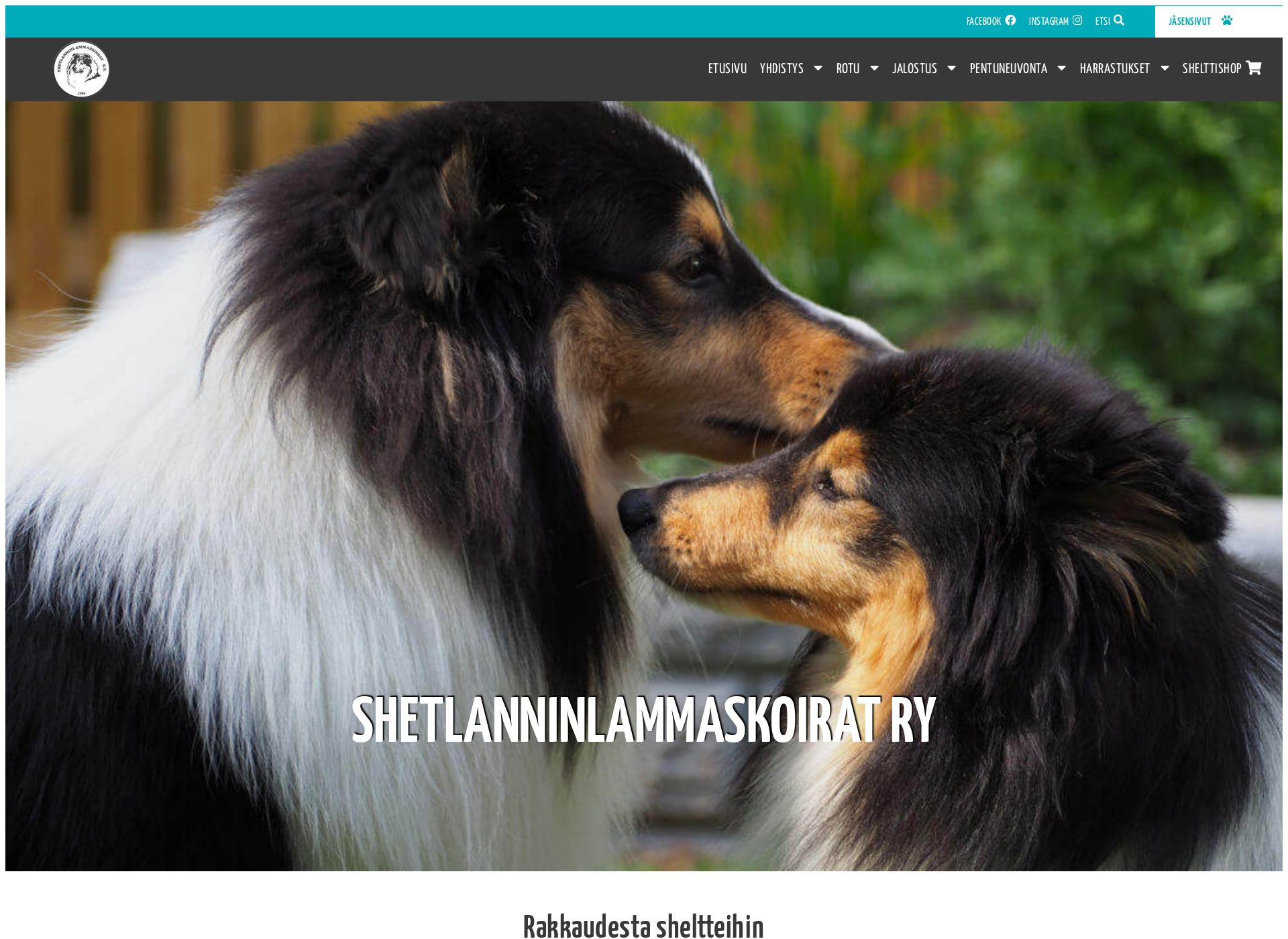 Screenshot for shetlanninlammaskoirat.fi