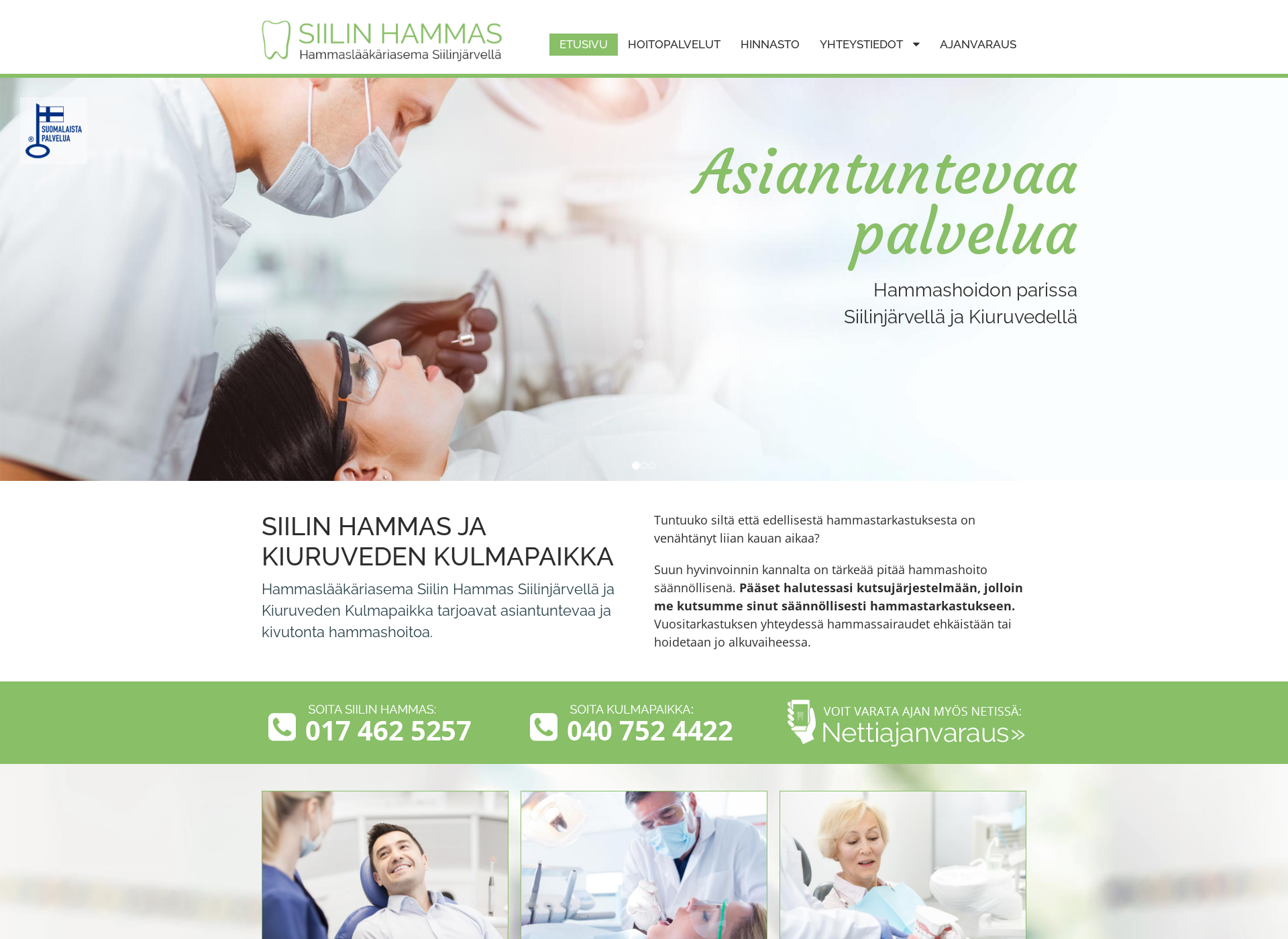 Screenshot for siilinhammas.fi