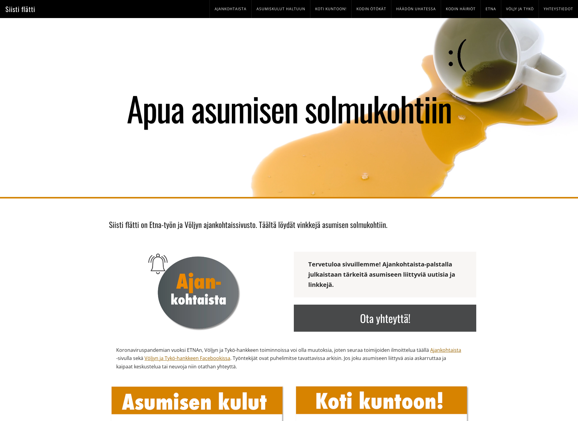 Screenshot for siistiflatti.fi
