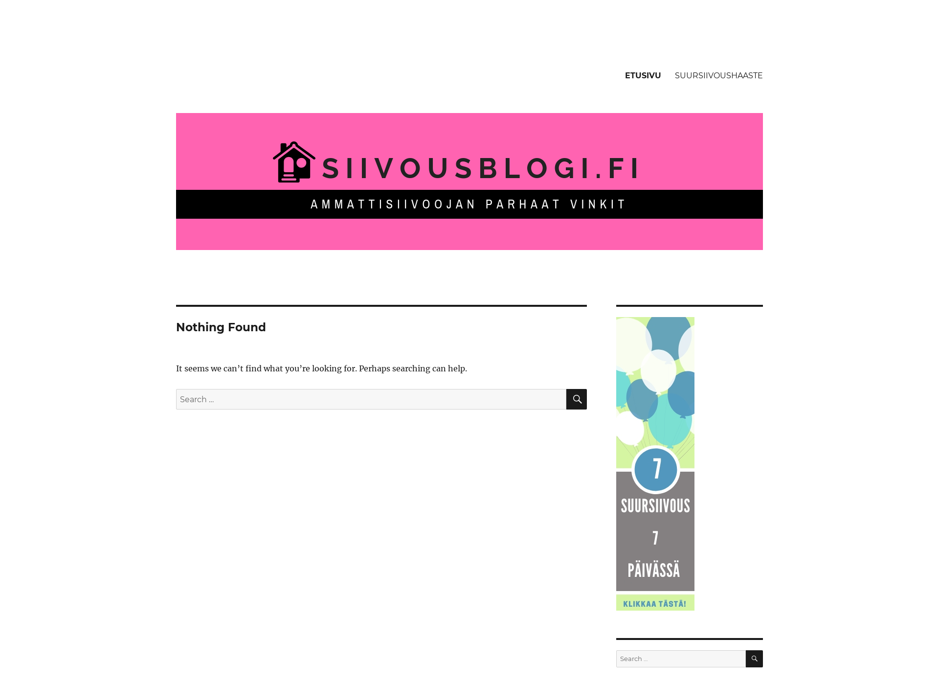 Screenshot for siivousblogi.fi