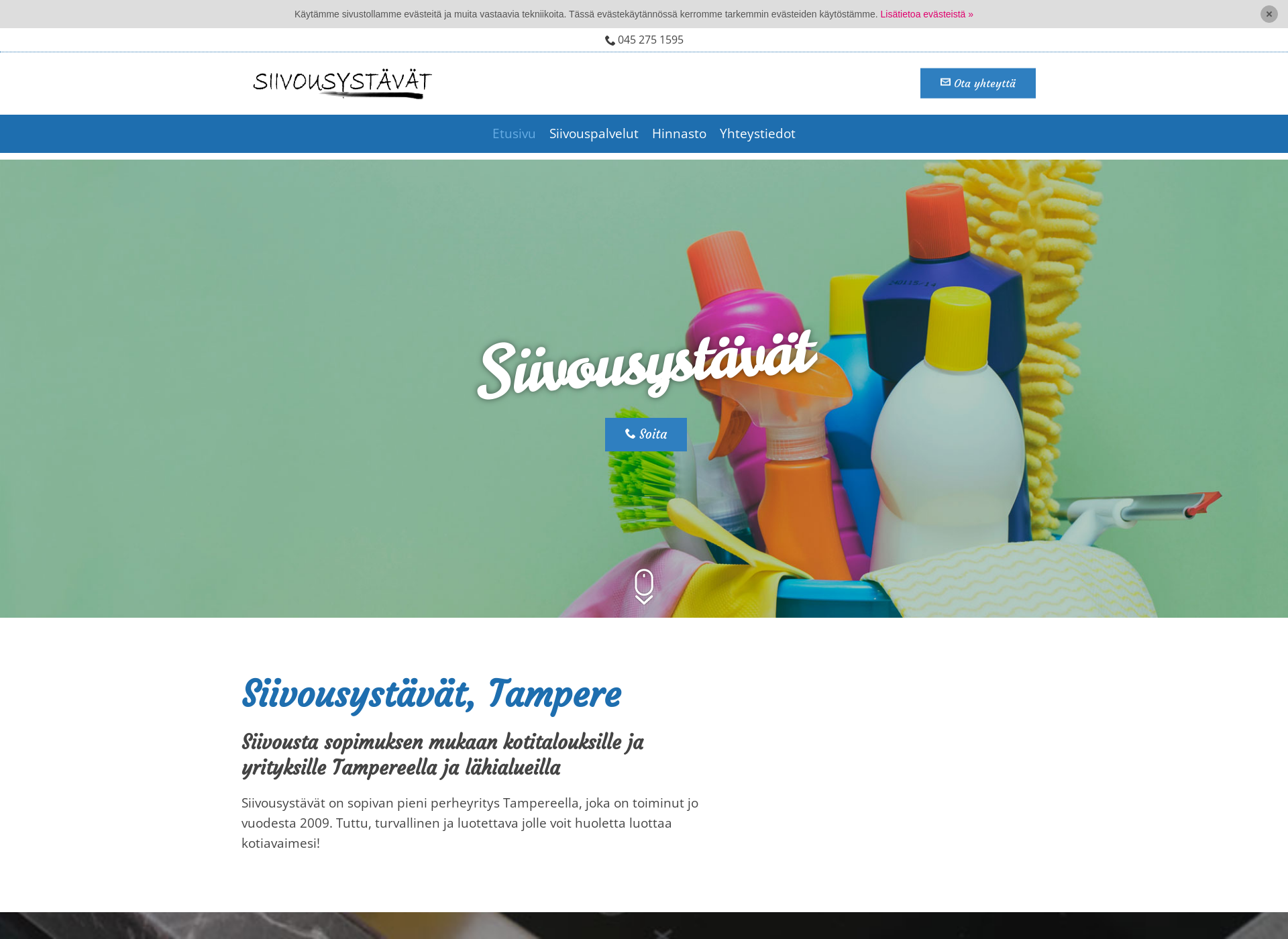 Screenshot for siivousystavat.fi