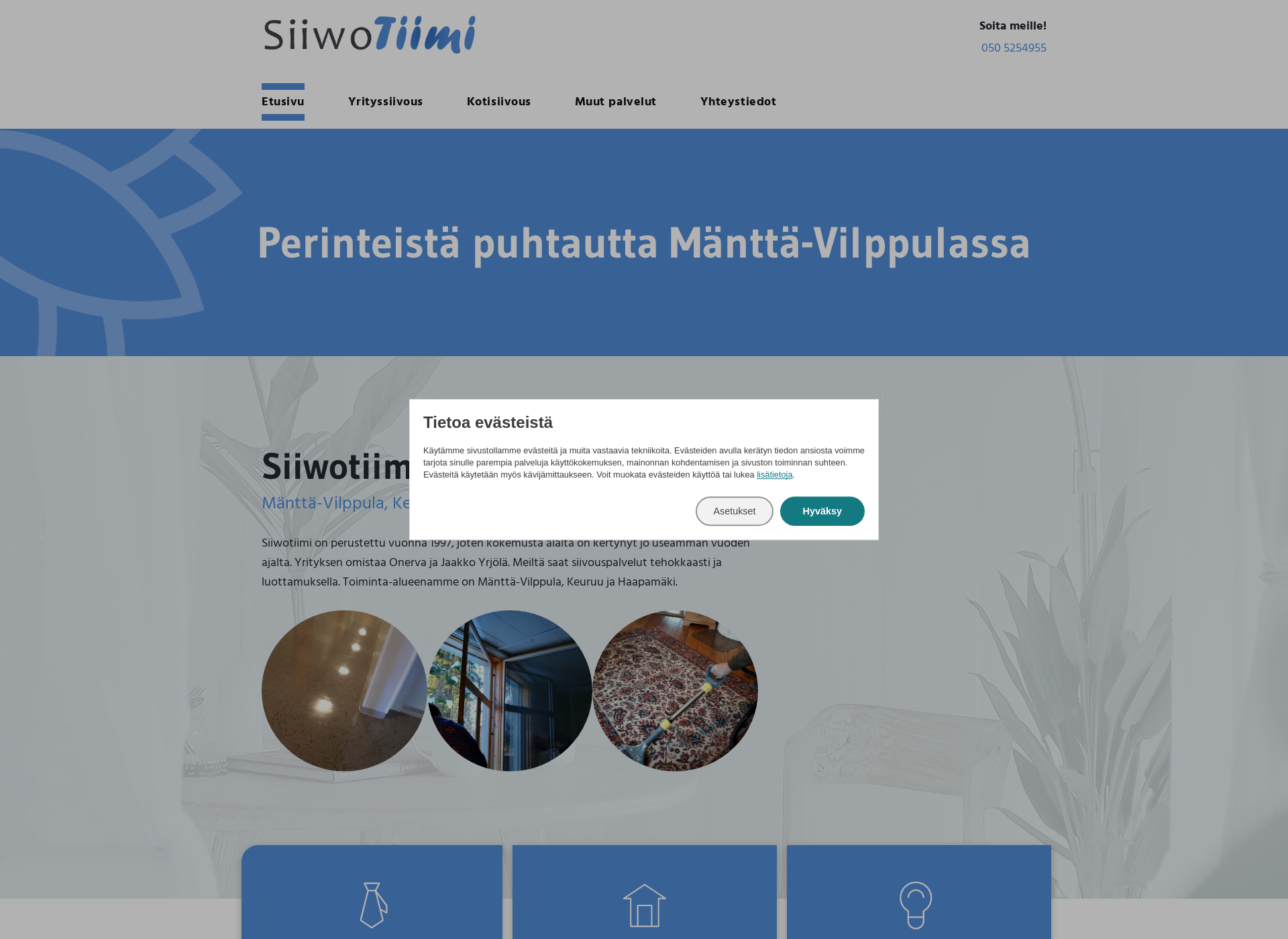Screenshot for siiwotiimi.fi
