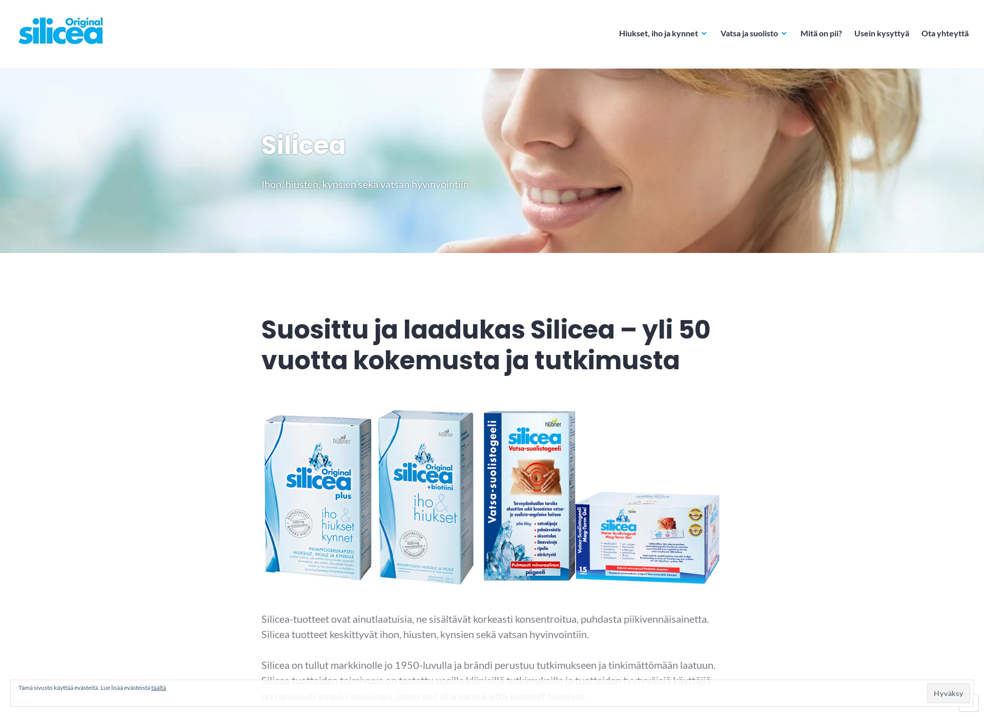 Skärmdump för silicea.fi