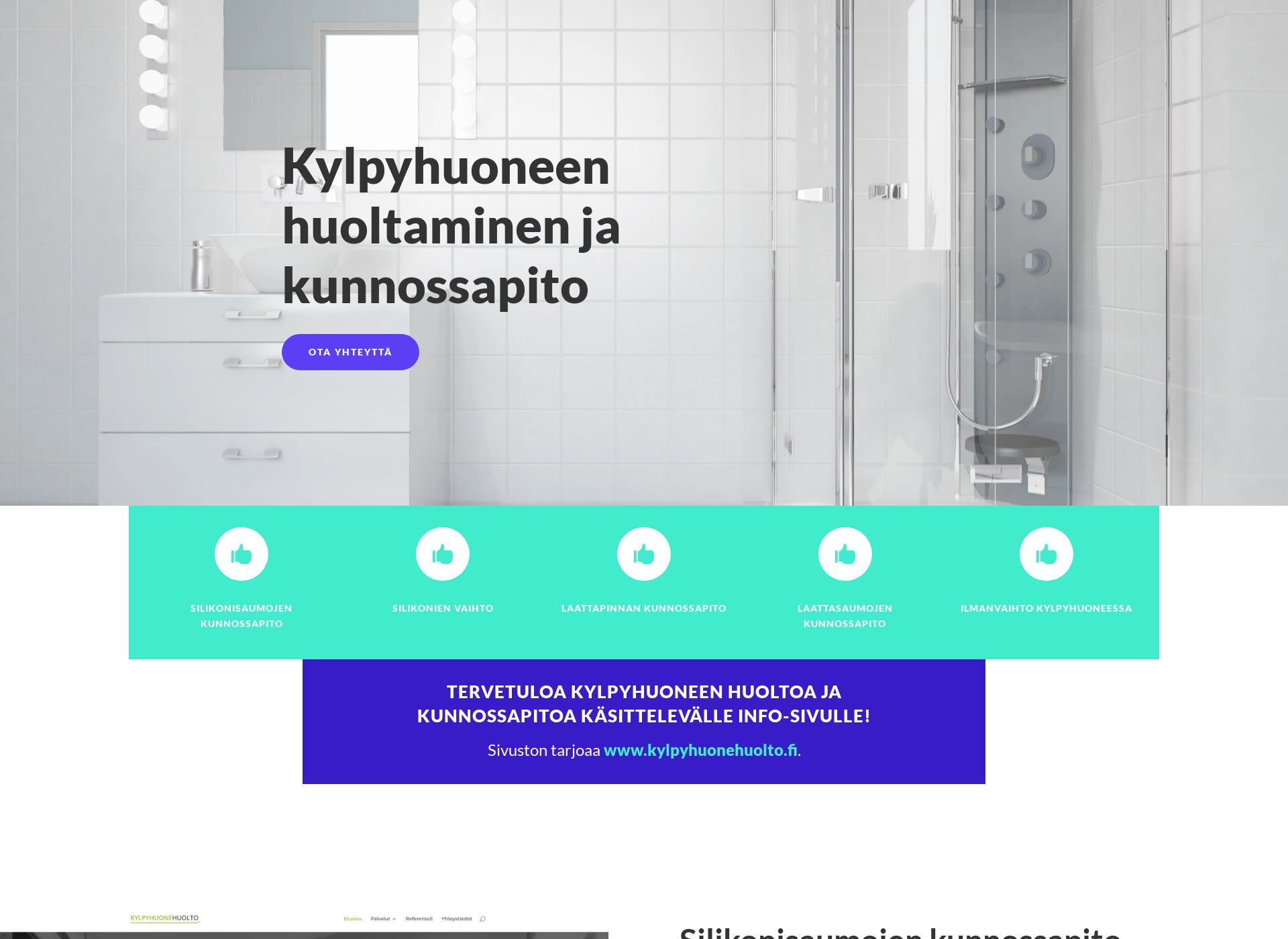 Screenshot for silikonienvaihto.fi