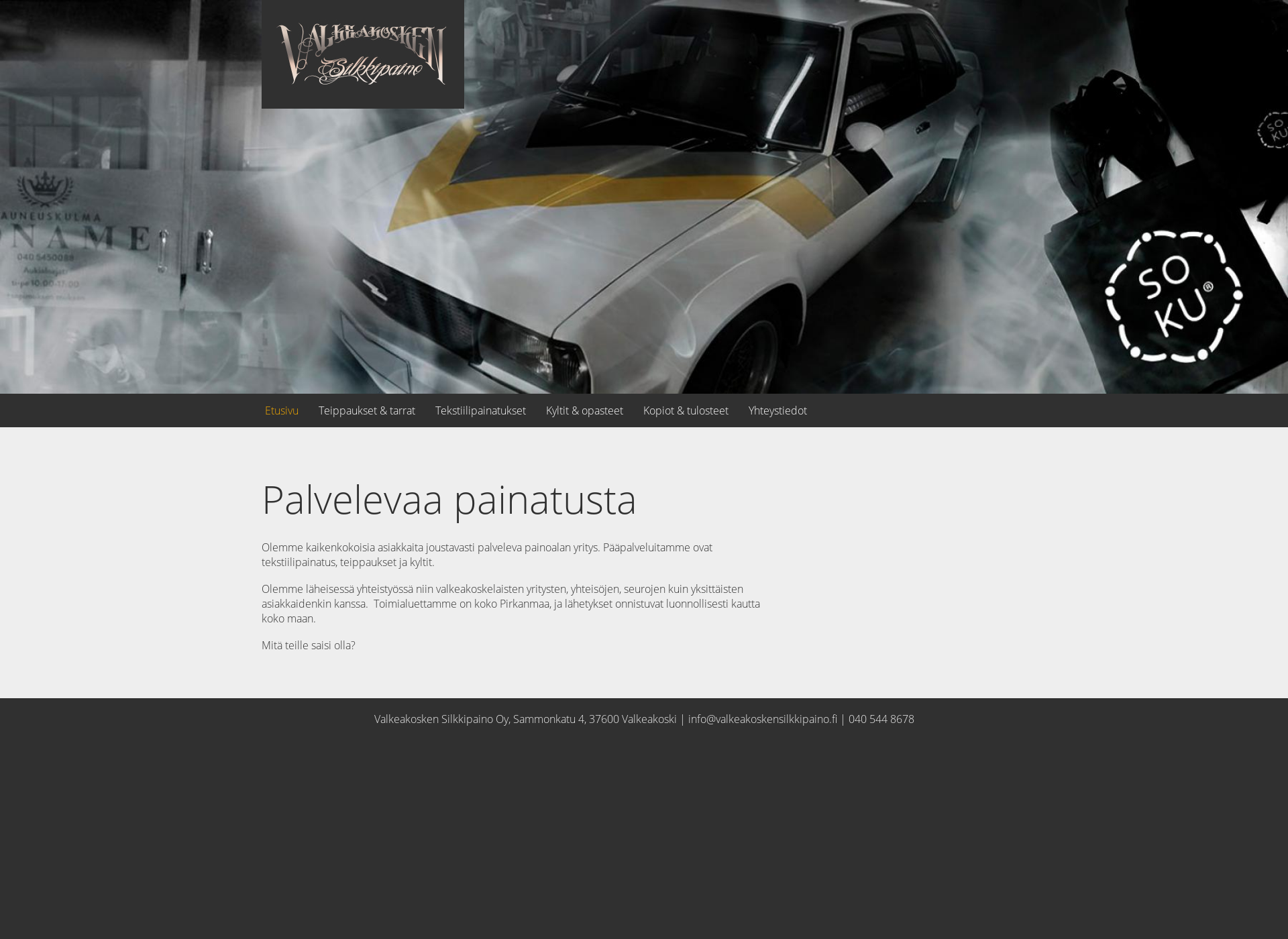 Screenshot for silkkis.fi
