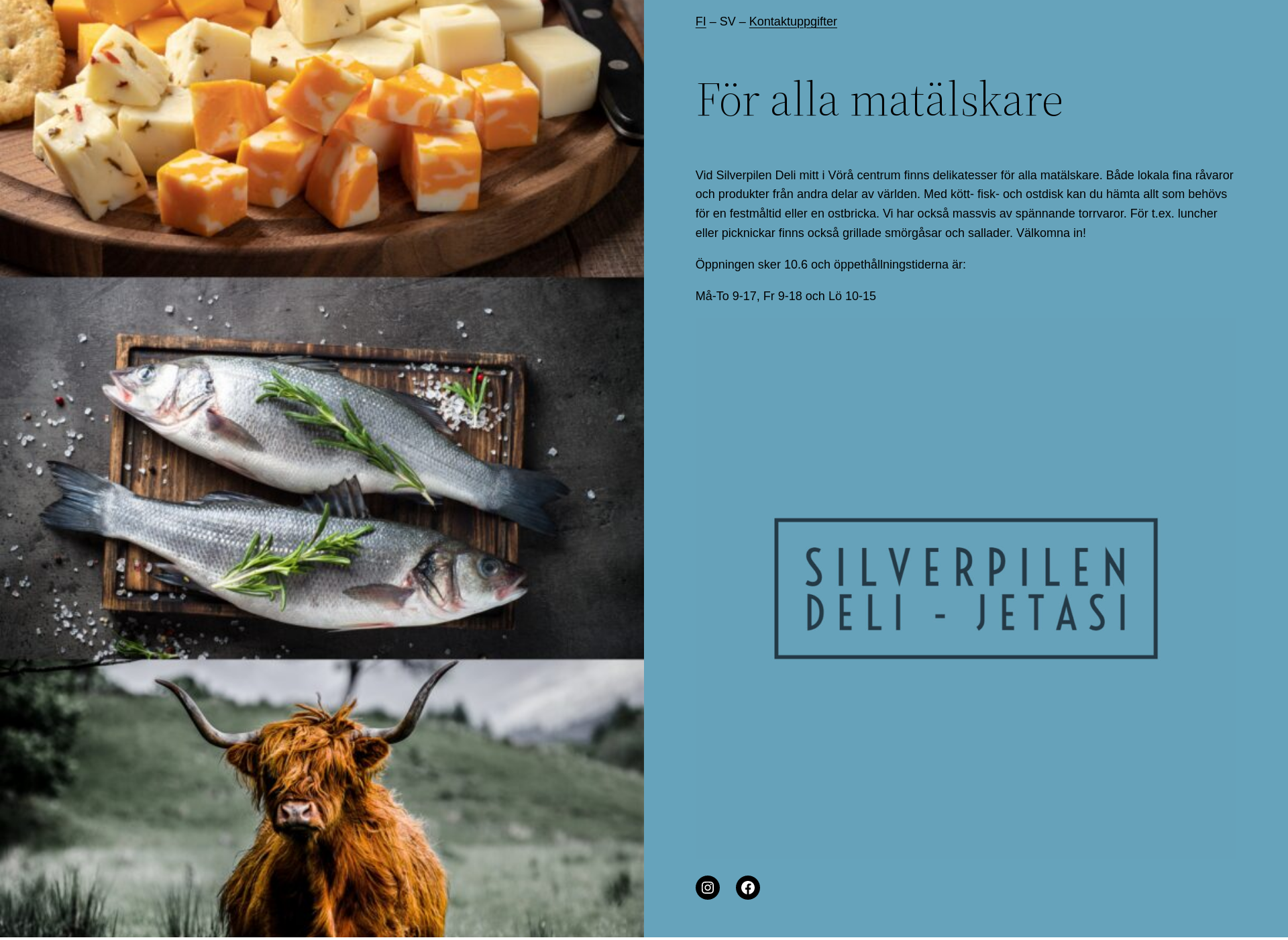 Screenshot for silverpilendeli.com