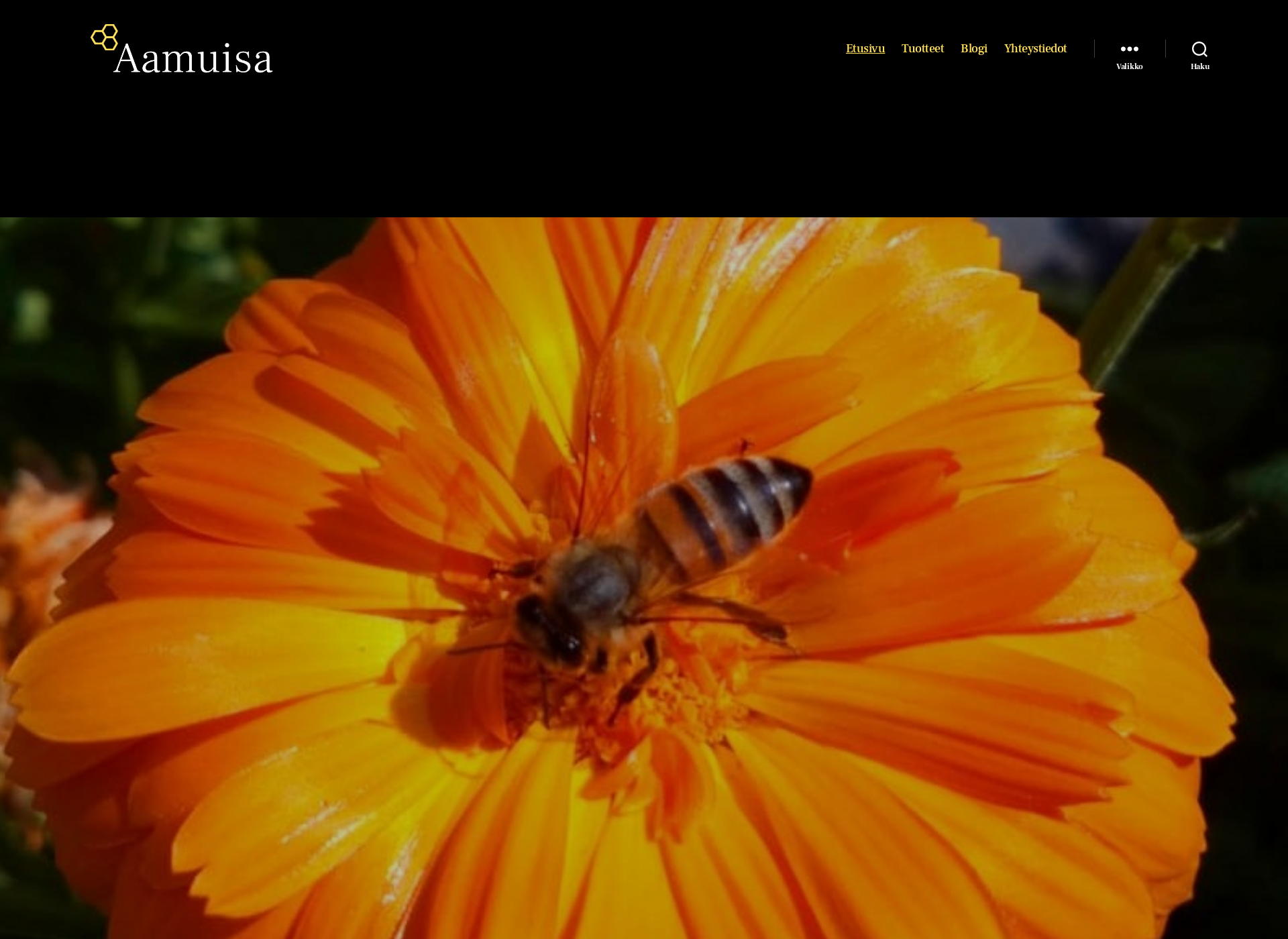 Screenshot for simasiipi.fi