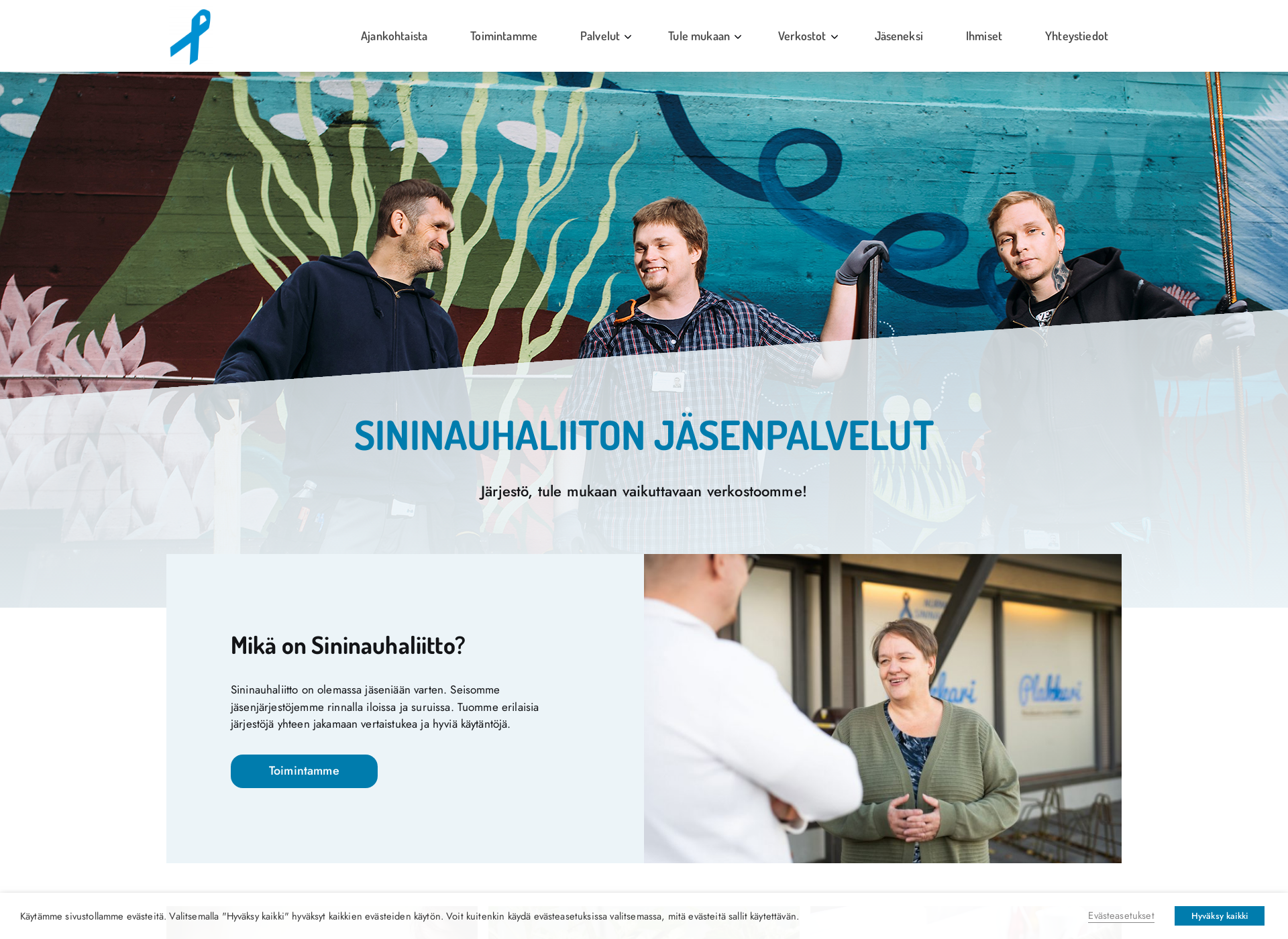 Screenshot for sininauhaliitonjasenet.fi