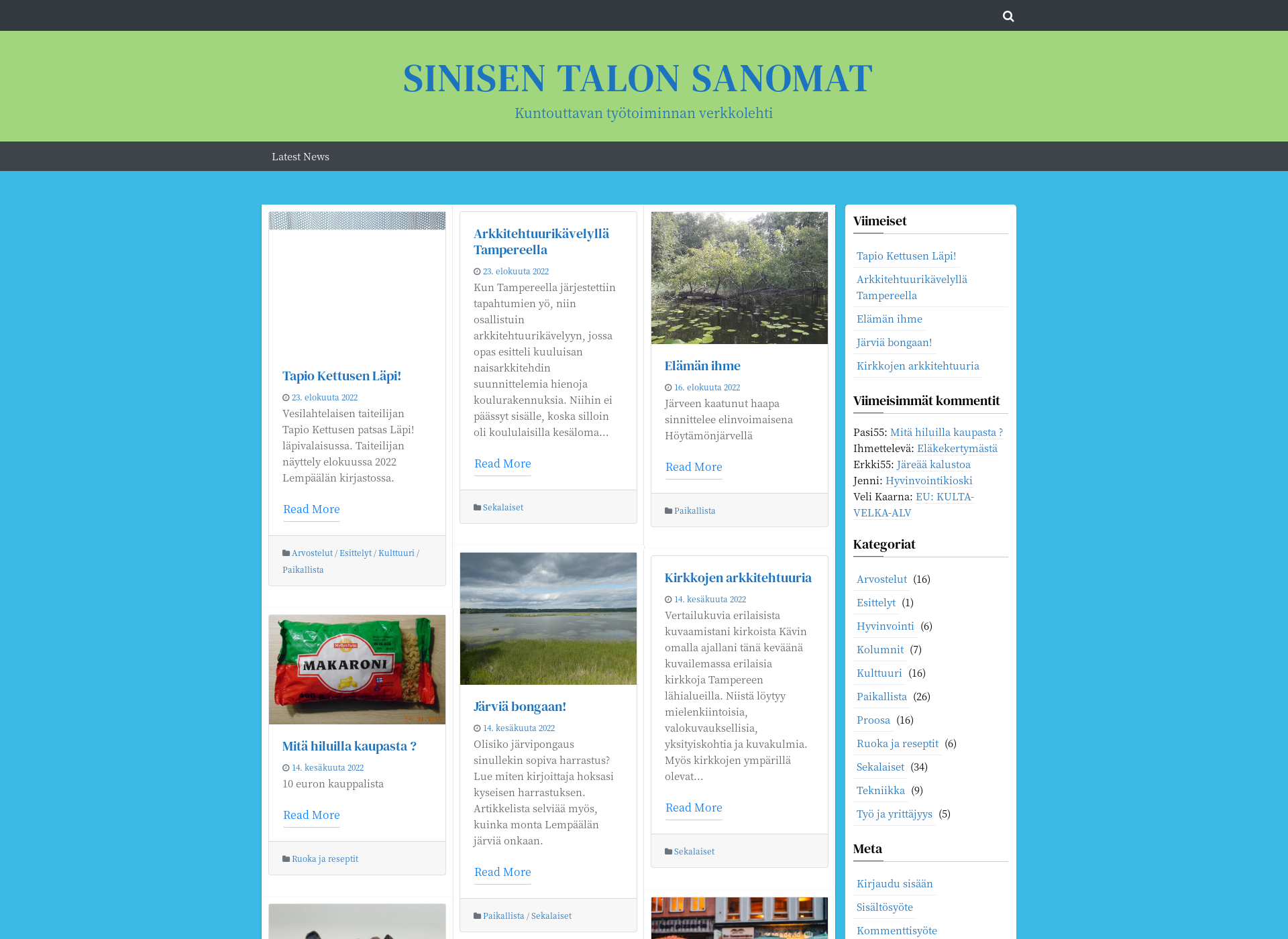 Screenshot for sinisentalonsanomat.fi