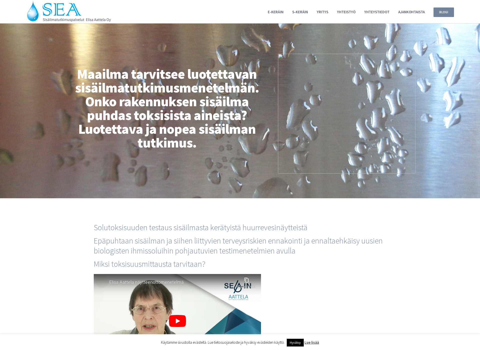 Screenshot for sisailmatutkimuspalvelut.fi