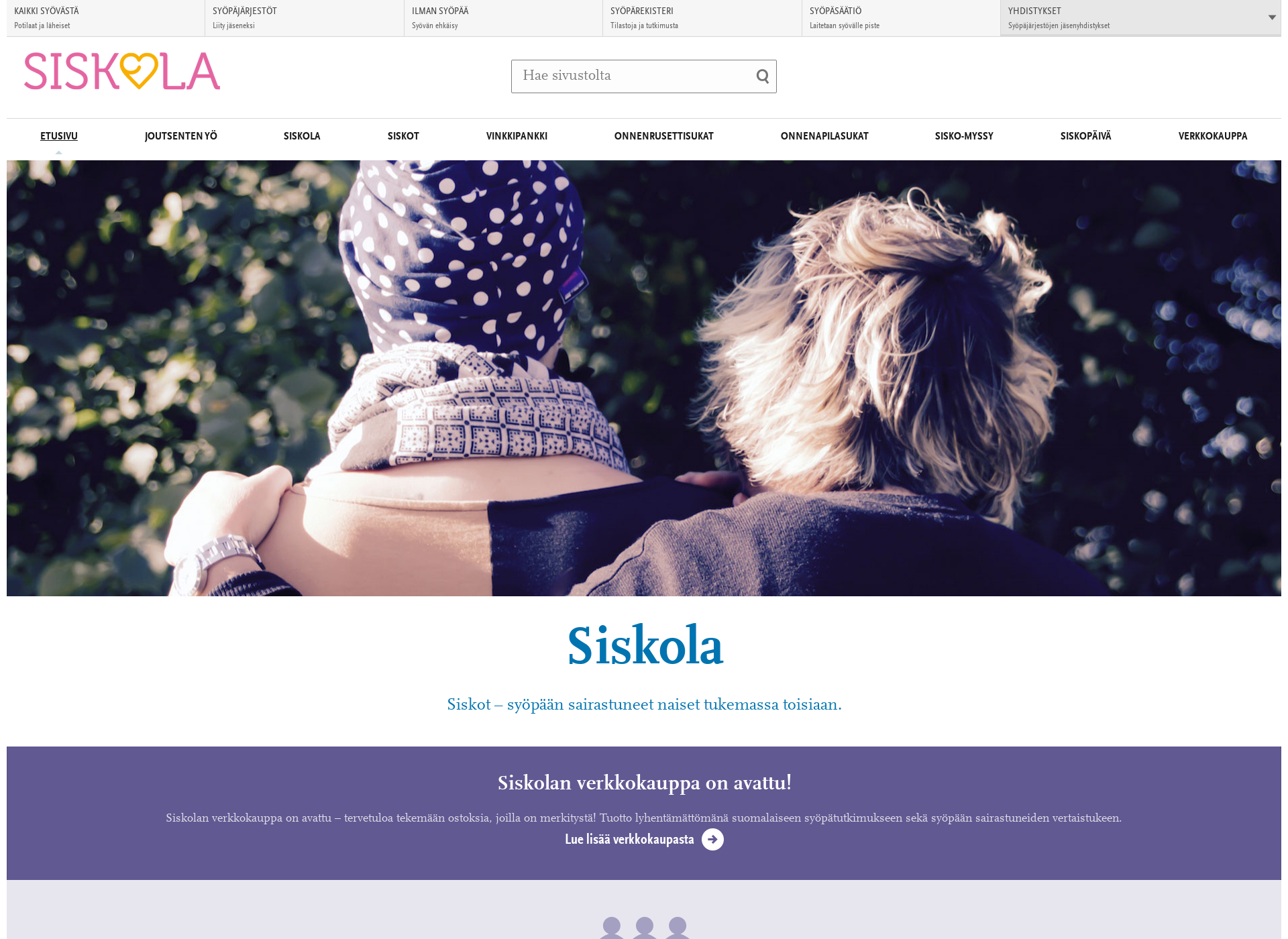 Screenshot for siskola.fi