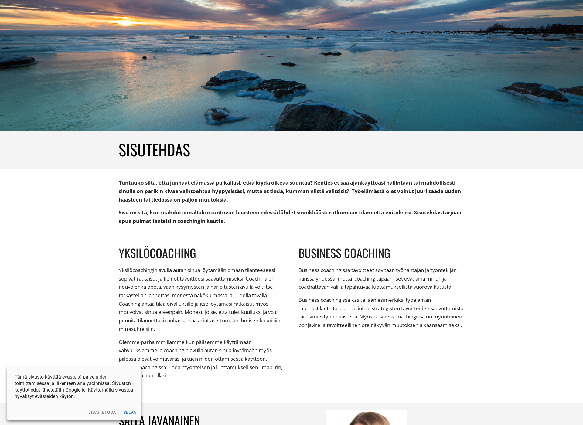 Skärmdump för sisutehdas.fi