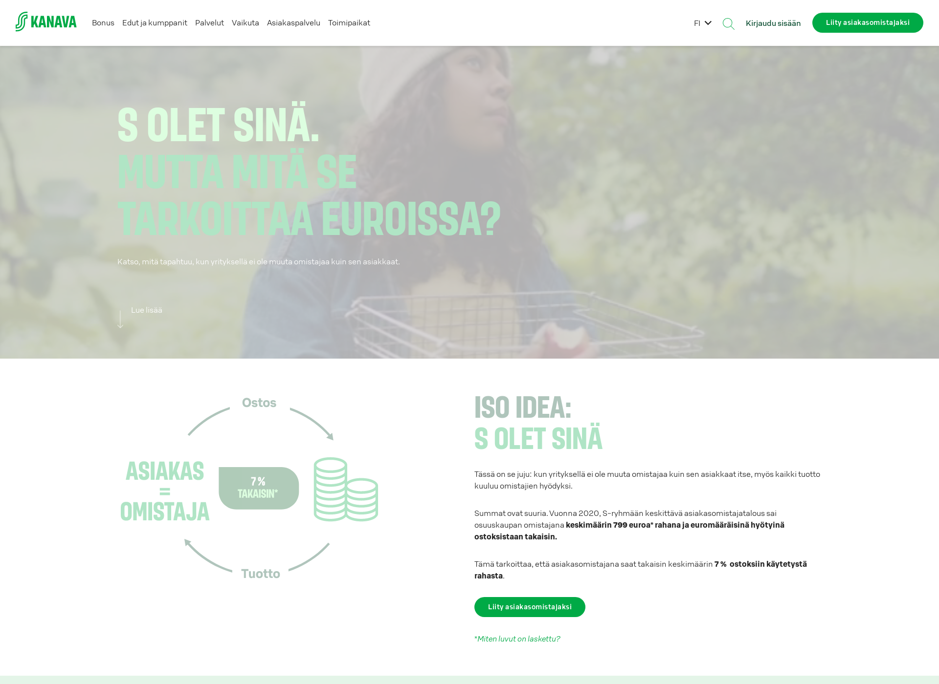 Screenshot for skanava.fi