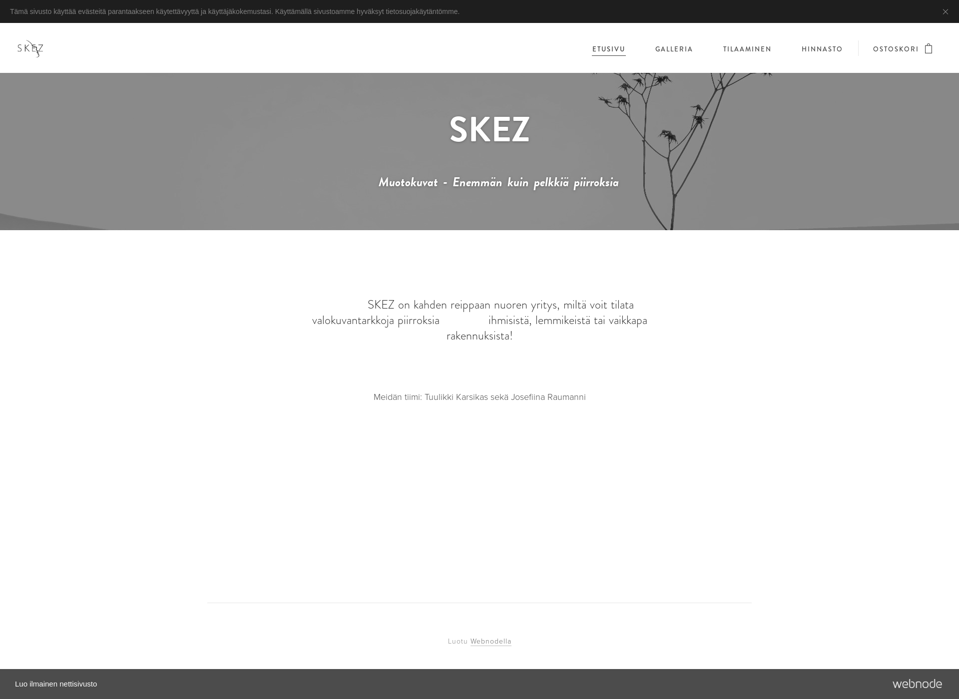 Screenshot for skez.fi